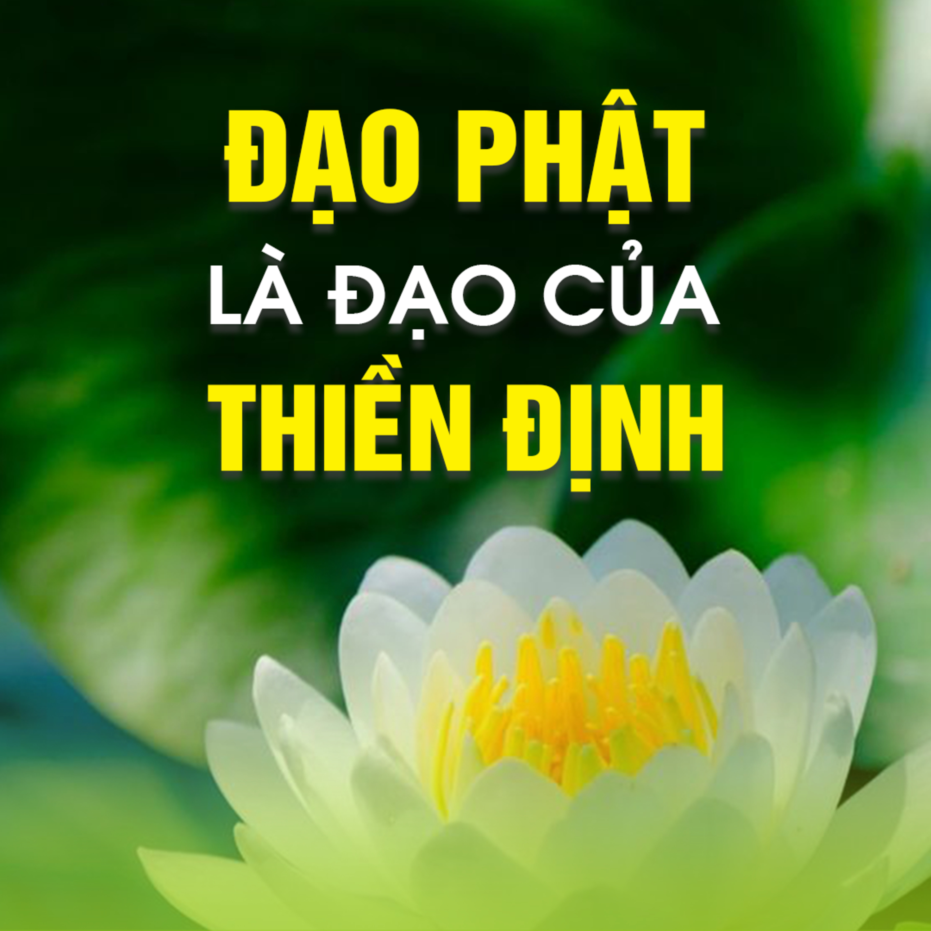 ĐẠO PHẬT LÀ ĐẠO CỦA THIỀN ĐỊNH A - Pháp Cú 68  episode artwork