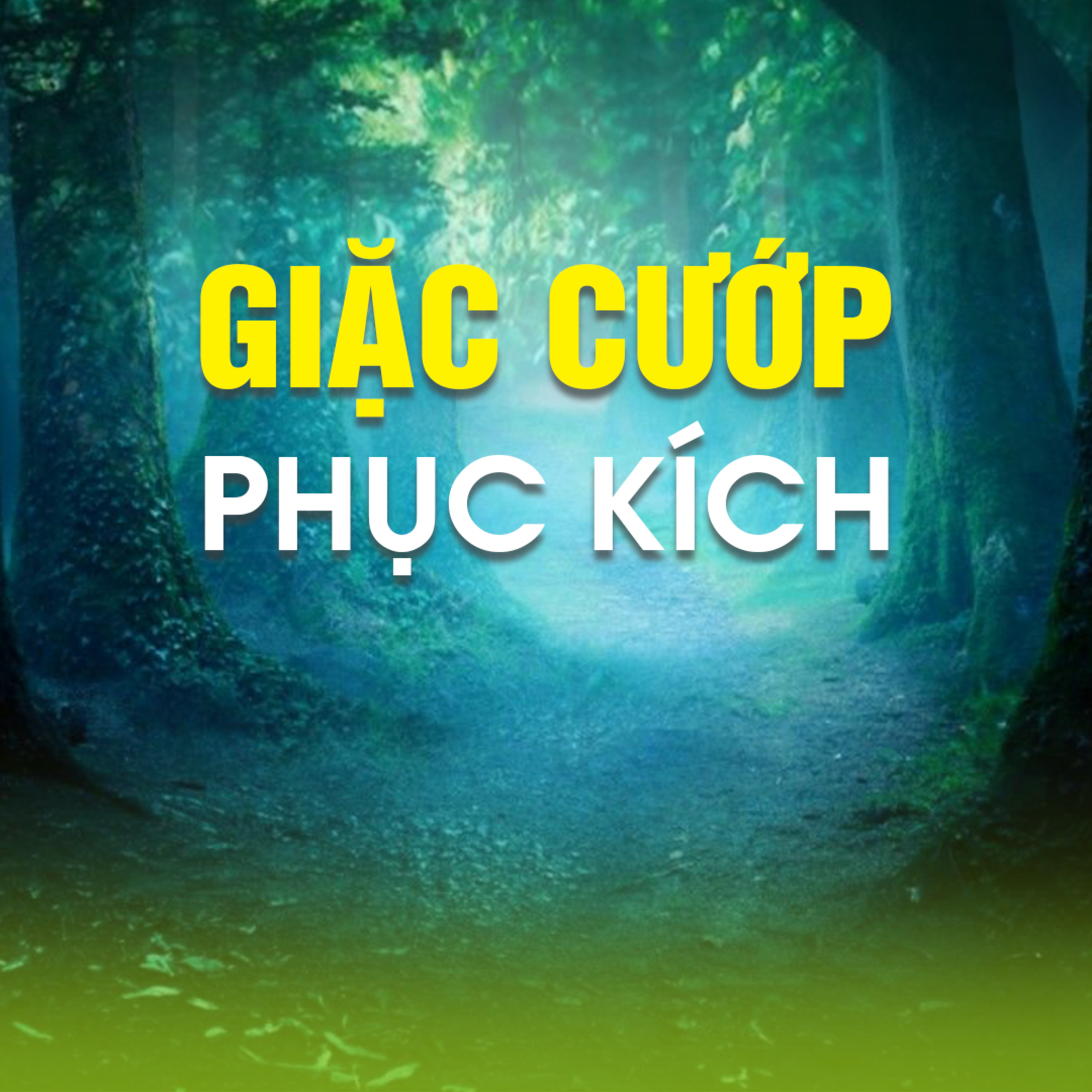 GIẶC CƯỚP PHỤC KÍCH B - Pháp Cú 42 