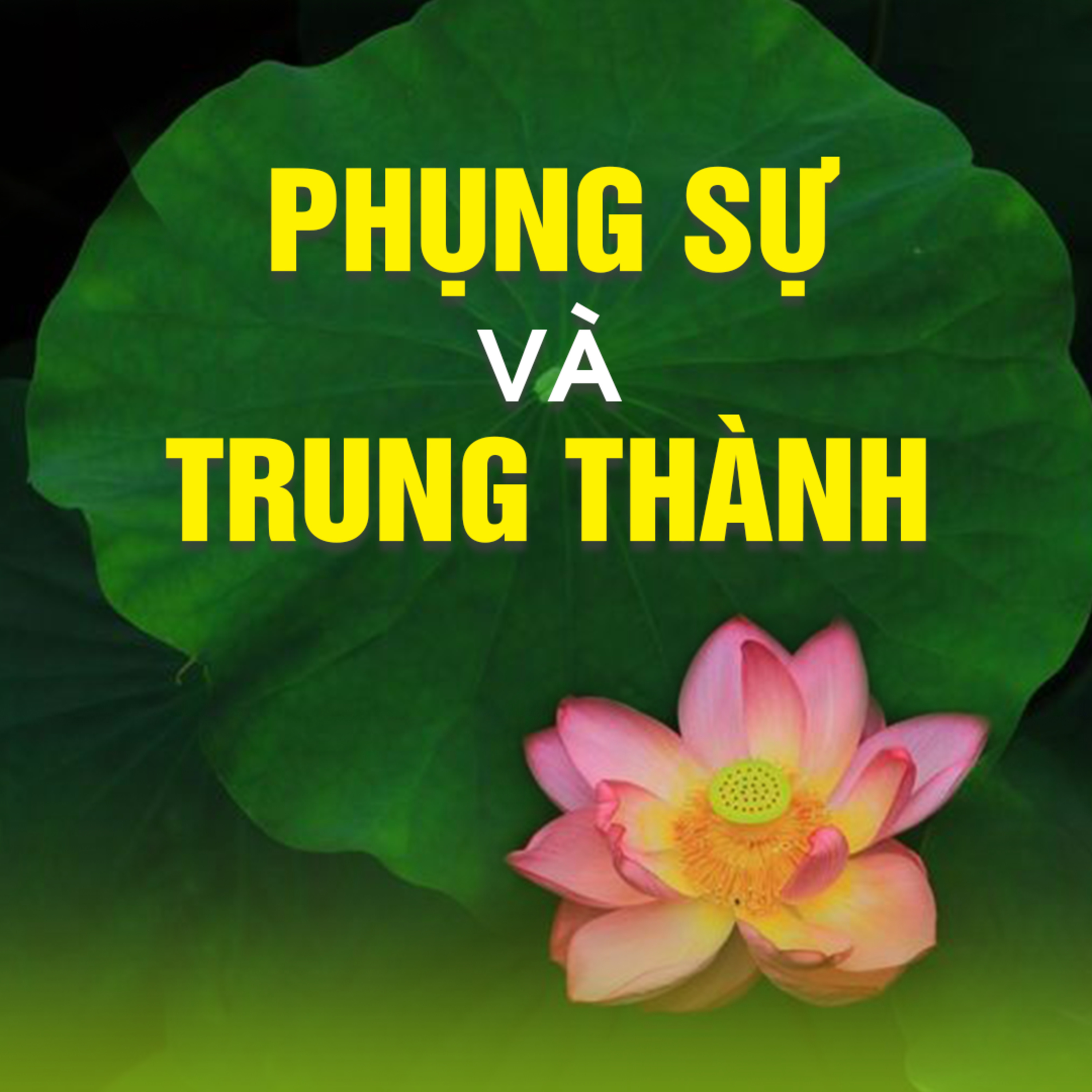 PHỤNG SỰ VÀ TRUNG THÀNH episode artwork