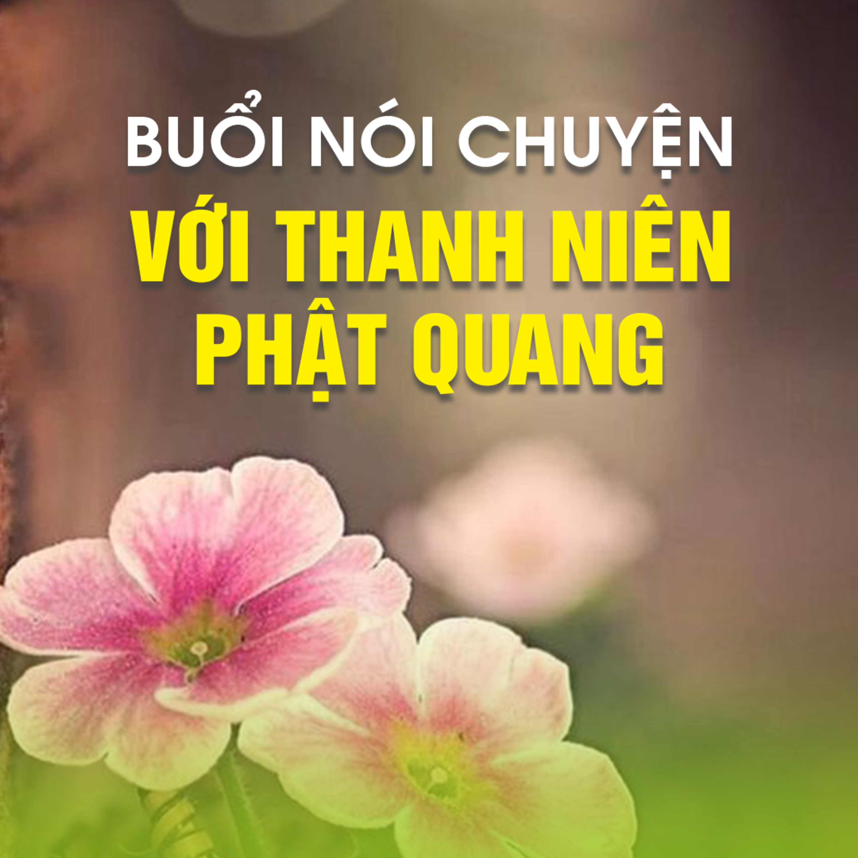 BUỔI NÓI CHUYỆN VỚI THANH NIÊN PHẬT QUANG (TẦM NHÌN TƯƠNG LAI)  episode artwork