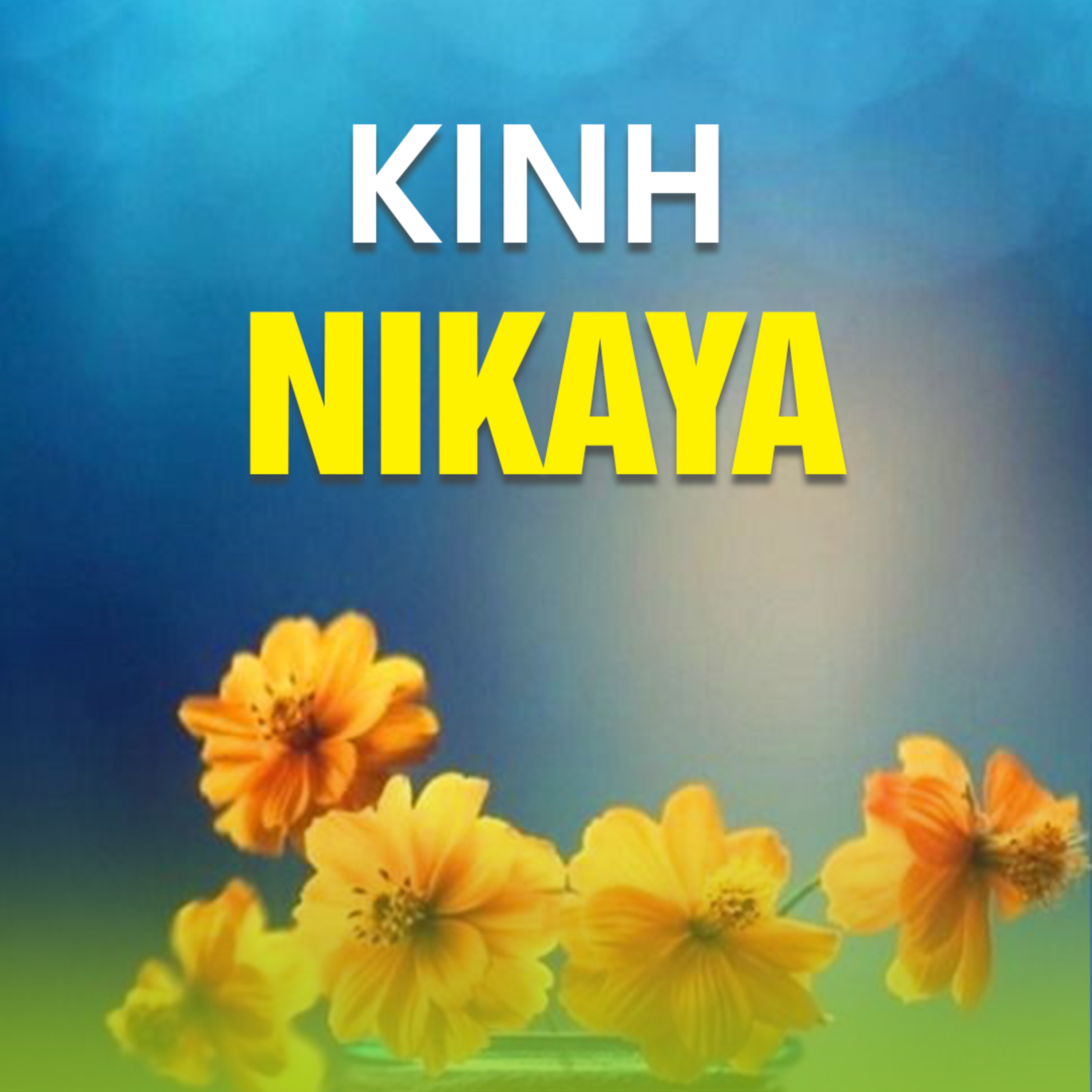 KINH NIKAYA 13 - Kinh Tứ Niệm Xứ (Quán Tâm A)