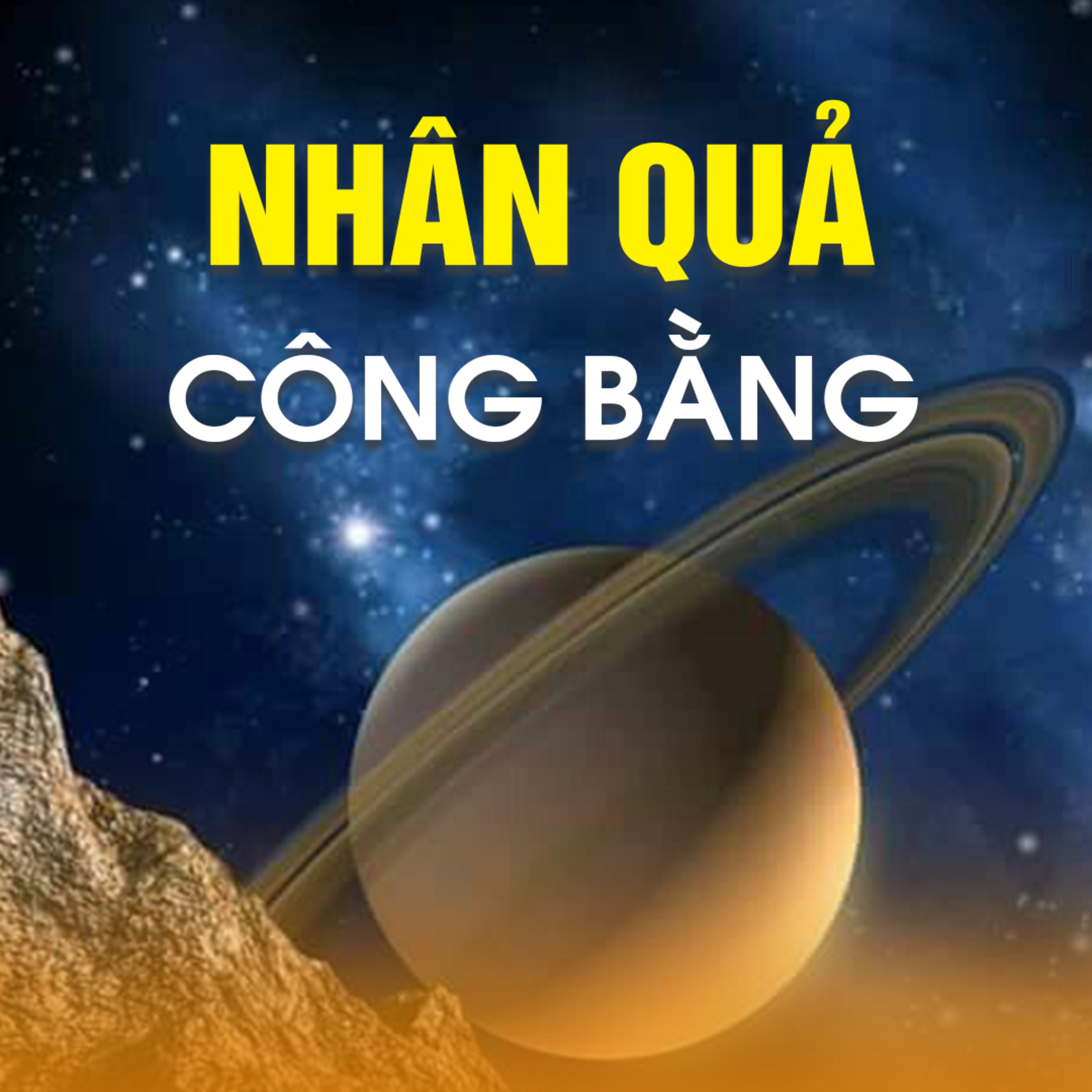 NHÂN QUẢ CÔNG BẰNG - Chùa Đồng Đắc - Ninh Bình 23/02/2004 - TT. TS. Thích Chân Quang episode artwork