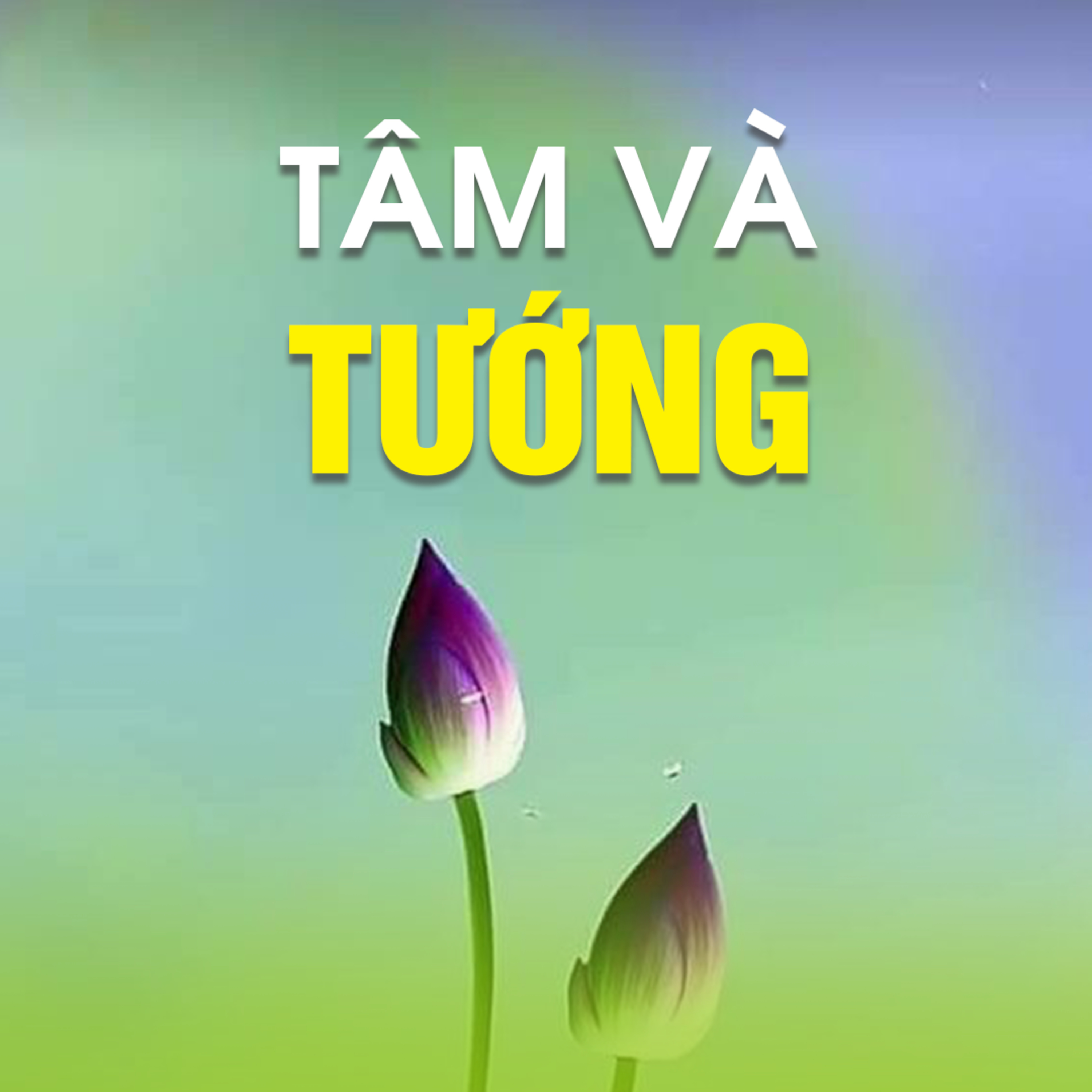 TÂM VÀ TƯỚNG - Trích bài Sự Giấu Mặt Của Luật Nhân Quả - TT. TS. Thích Chân Quang episode artwork