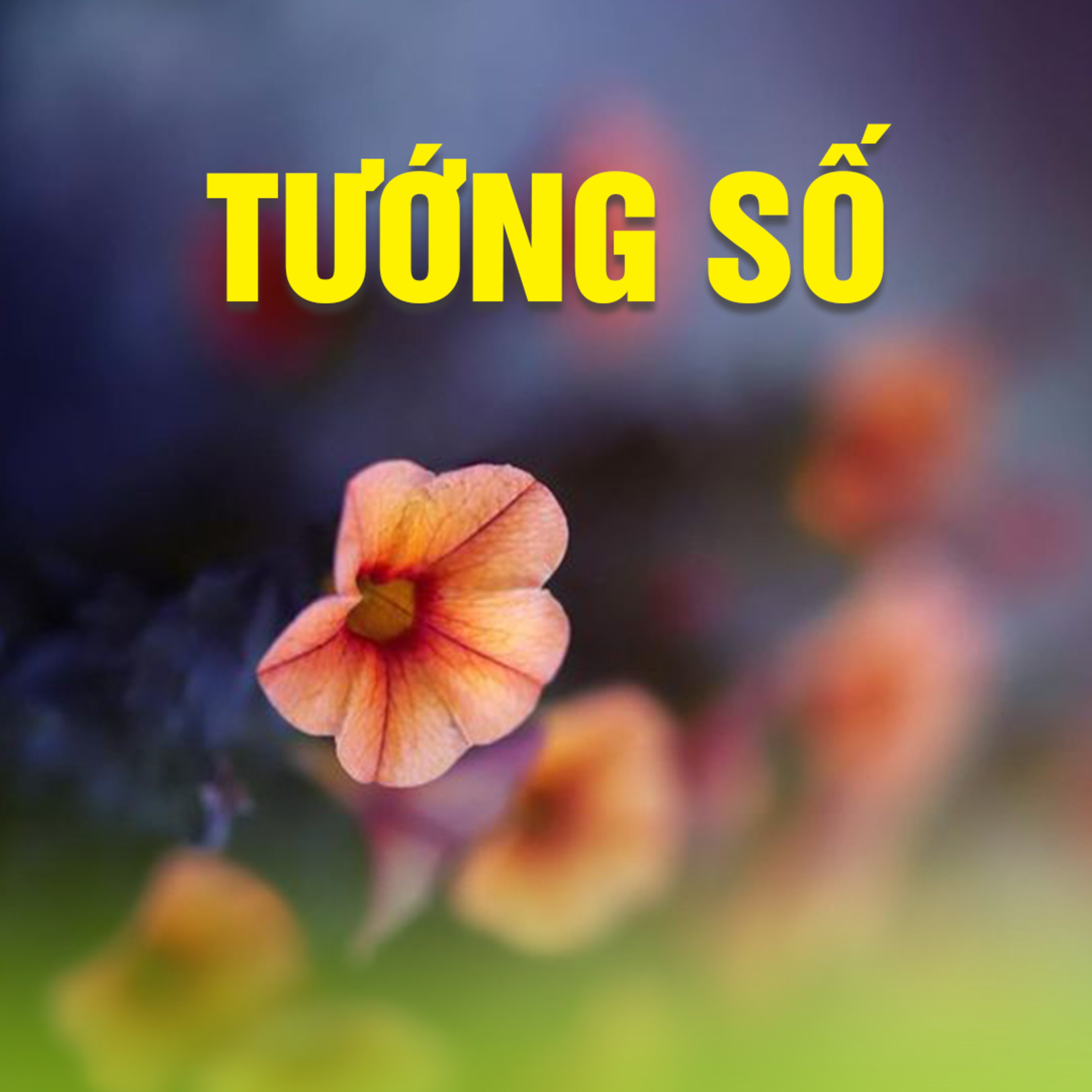 TƯỚNG SỐ - Trích bài Đầu Năm Cầu Phúc & Giải Nghiệp - TT. TS. Thích Chân Quang episode artwork