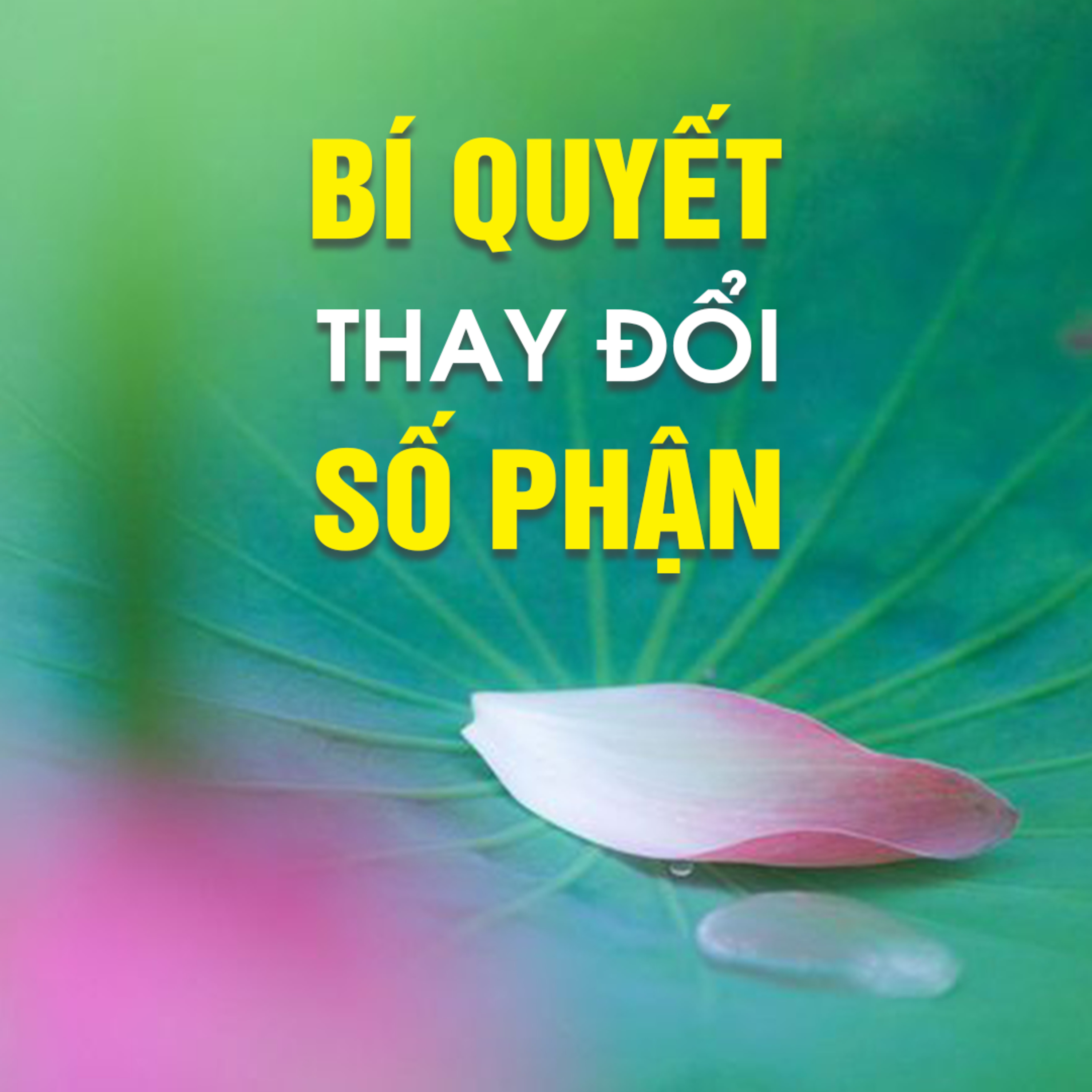 BÍ QUYẾT THAY ĐỔI SỐ PHẬN - Trích bài Cái Gì Cũng Có Số (Phần 1) - TT. TS. Thích Chân Quang episode artwork