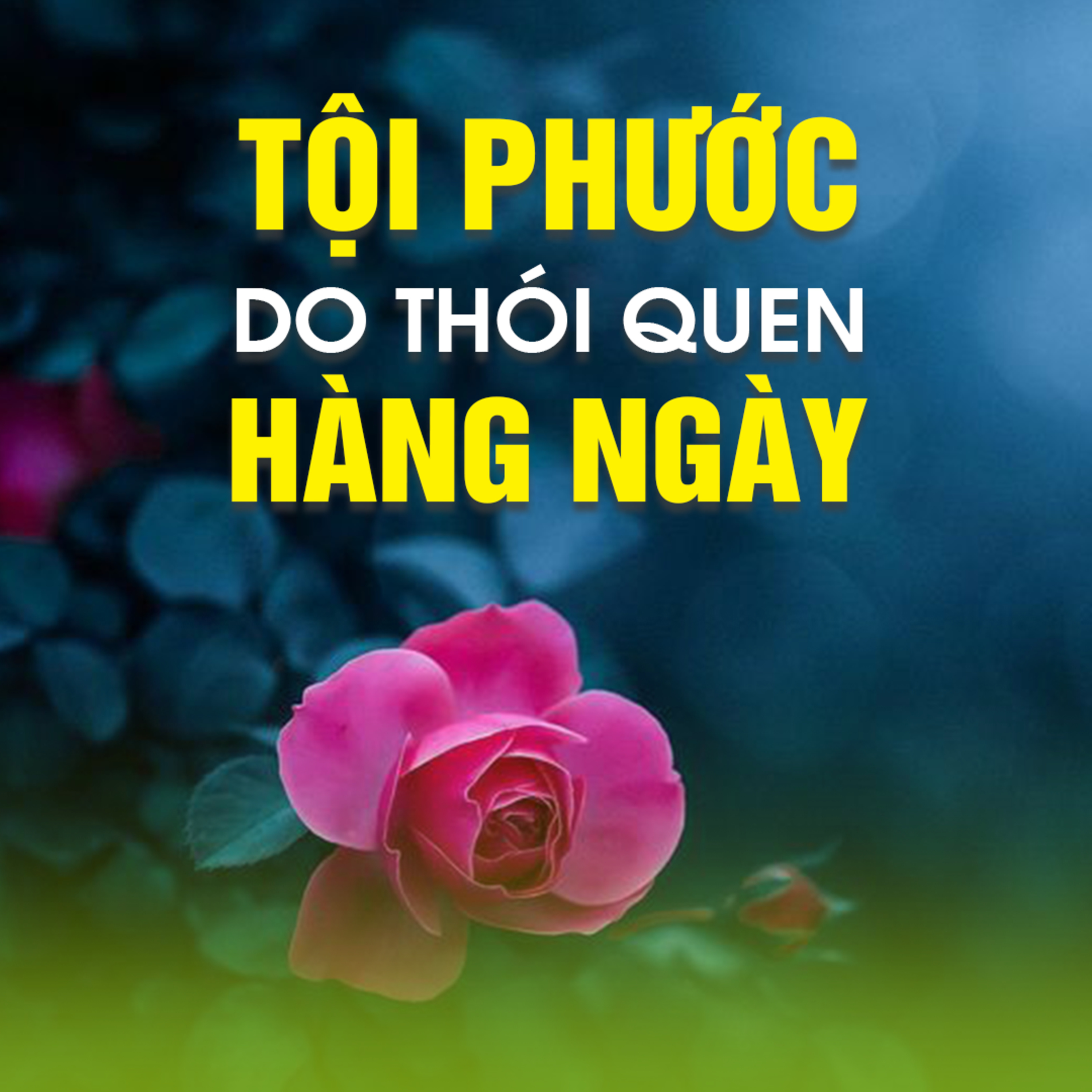 Tội Phước Do Thói Quen Hằng Ngày - Trích bài Nghiệp Cứ Trả Phước Cứ Làm...- TT. TS. Thích Chân Quang episode artwork