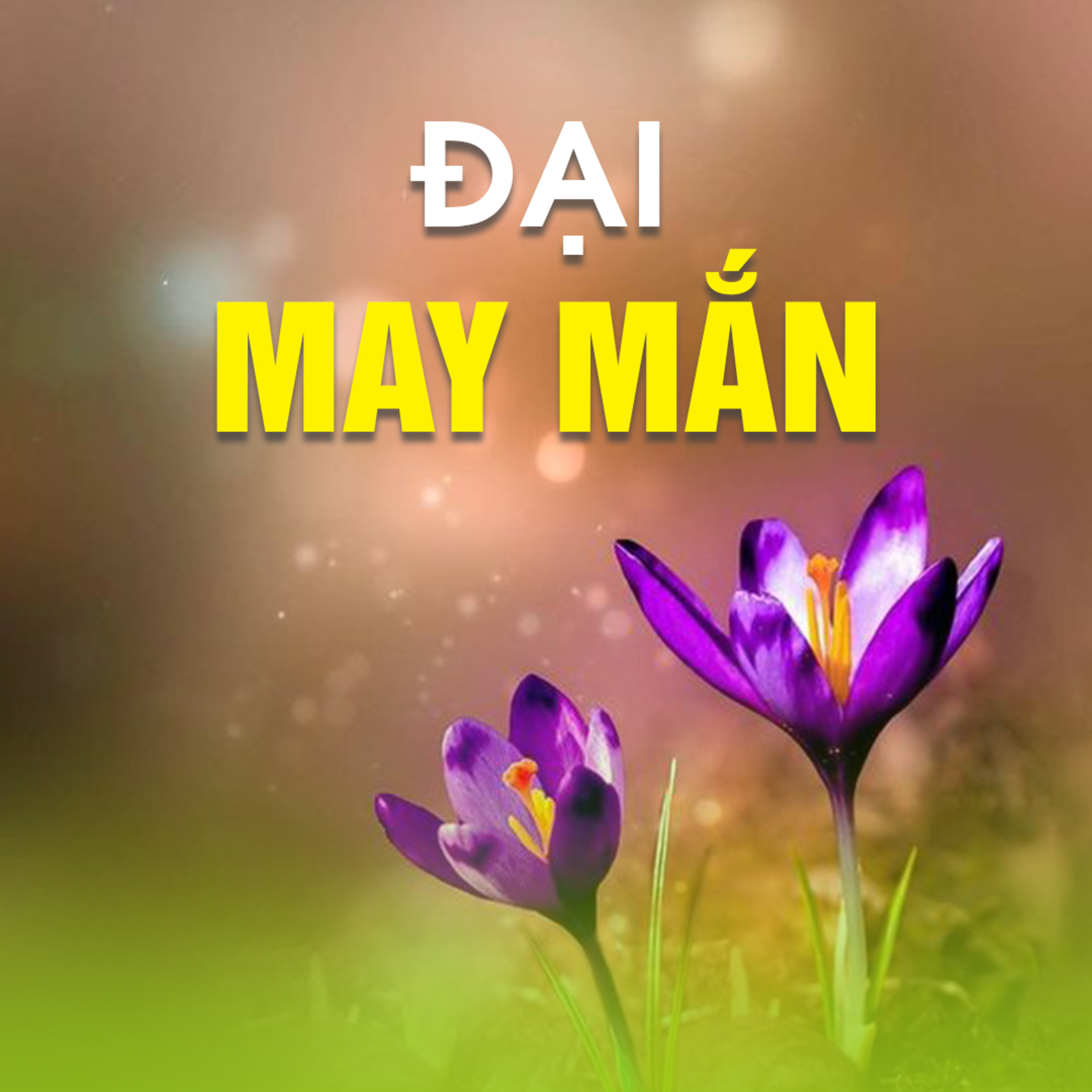 ĐẠI MAY MẮN - Trích bài Những Điều May Mắn Trong Cuộc Đời - TT. TS. Thích Chân Quang episode artwork