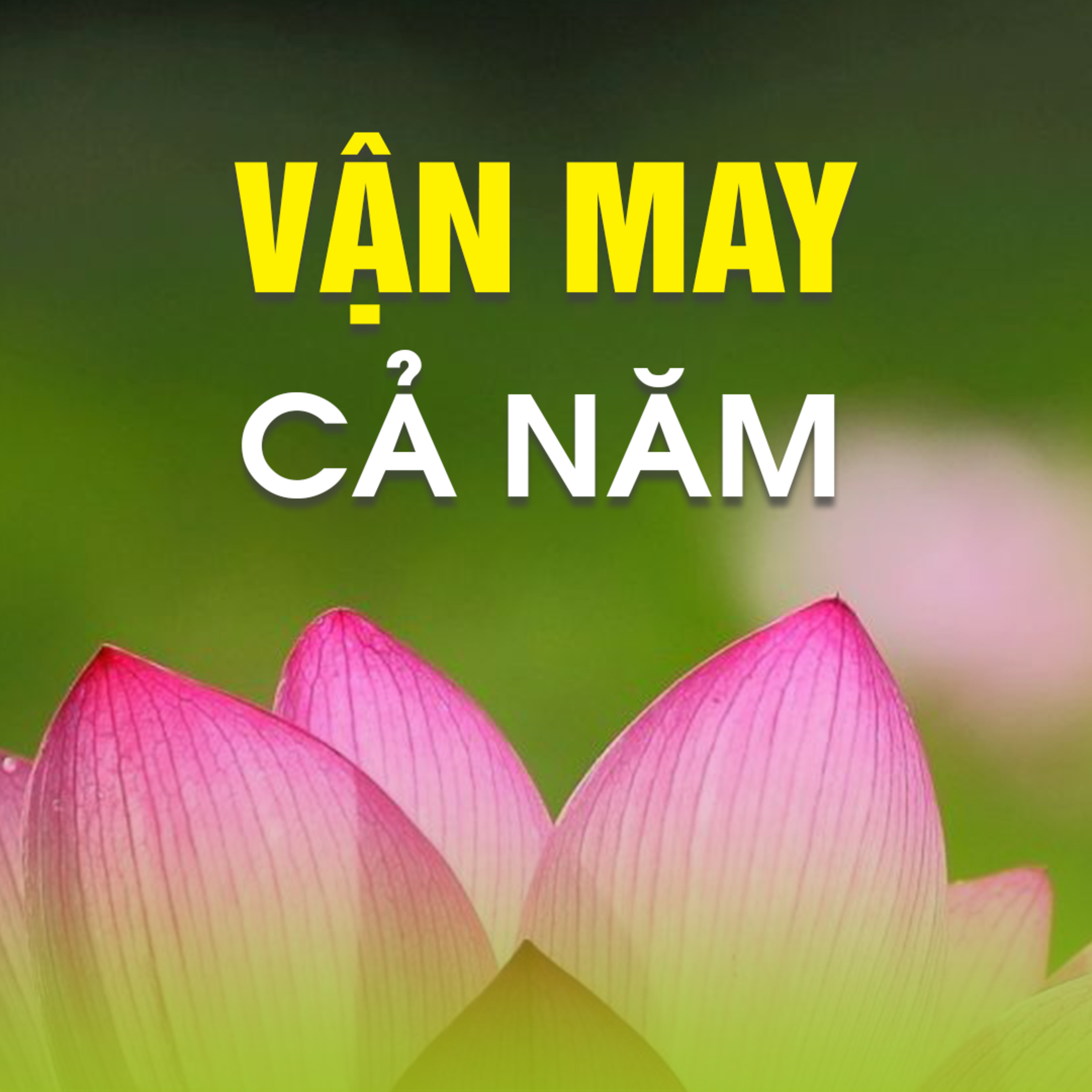 VẬN MAY CẢ NĂM - Trích bài Đầu Năm Cầu Phúc & Giải Nghiệp - TT. TS. Thích Chân Quang episode artwork