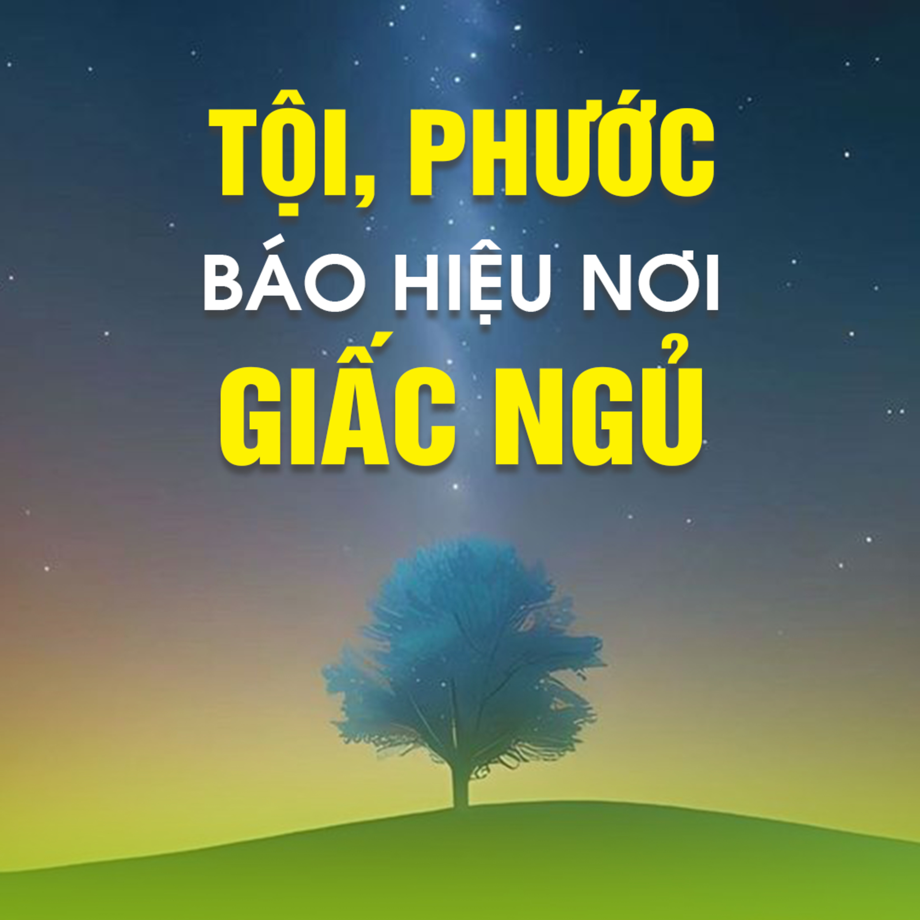TỘI, PHƯỚC BÁO HIỆU NƠI GIẤC NGỦ - Trích bài Tham Vấn Chùa Hoằng Phúc - TT. TS Thích Chân Quang episode artwork