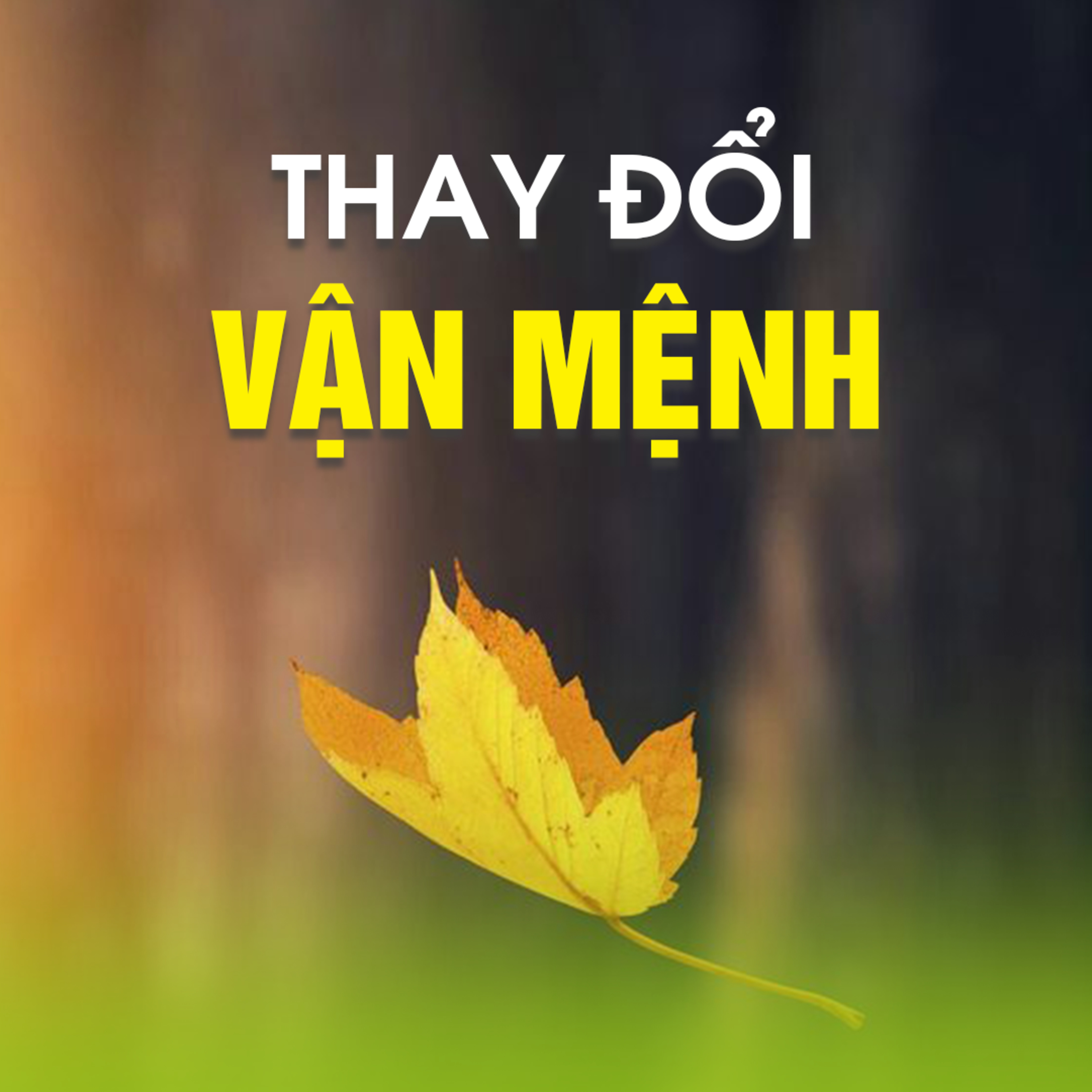 THAY ĐỔI VẬN MỆNH - Thiền Tôn Phật Quang - BRVT - TT.TS Thích Chân Quang episode artwork