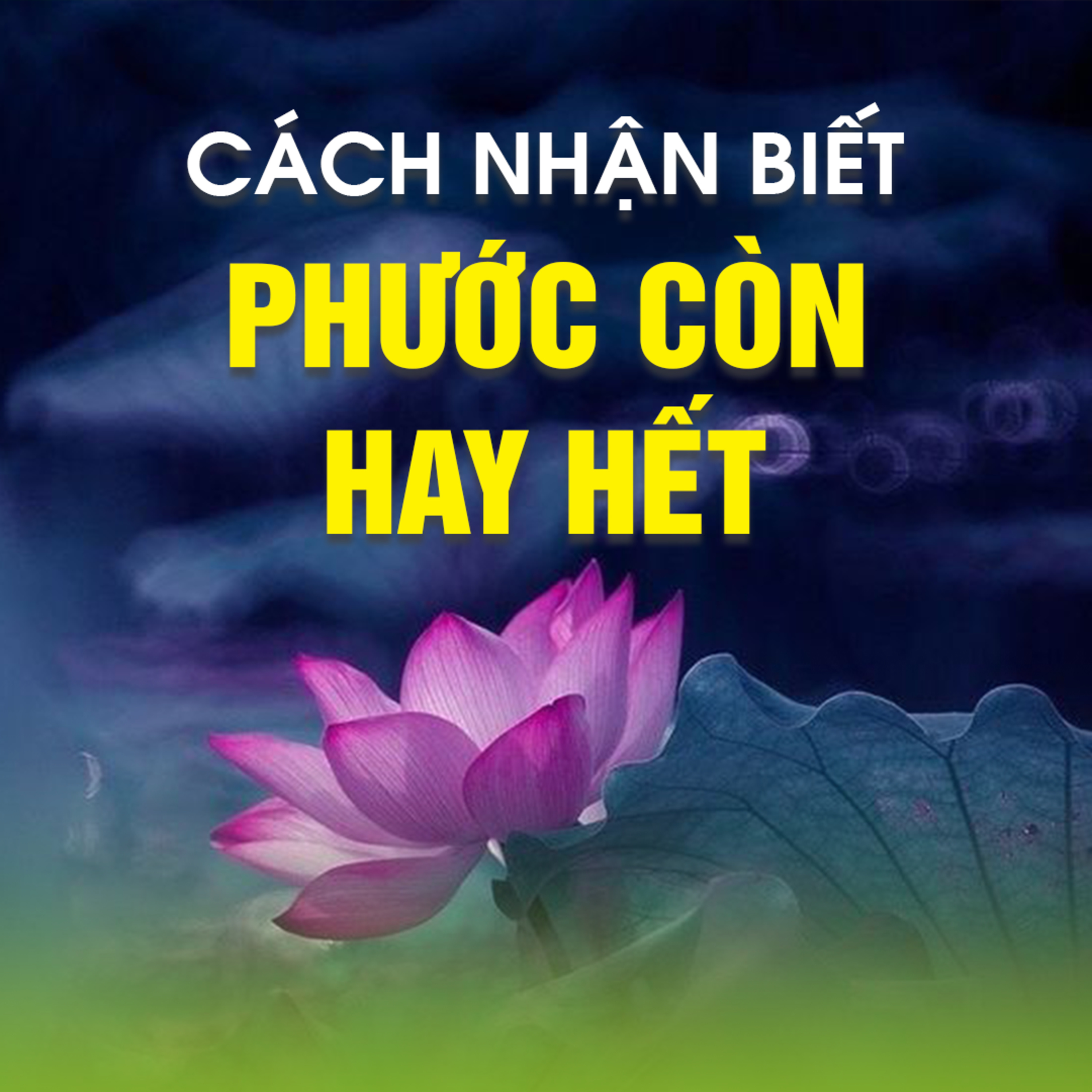 Cách Nhận Biết Phước Còn Hay Hết - Trích Phước bất khả hưởng tận - TT. TS. Thích Chân Quang episode artwork