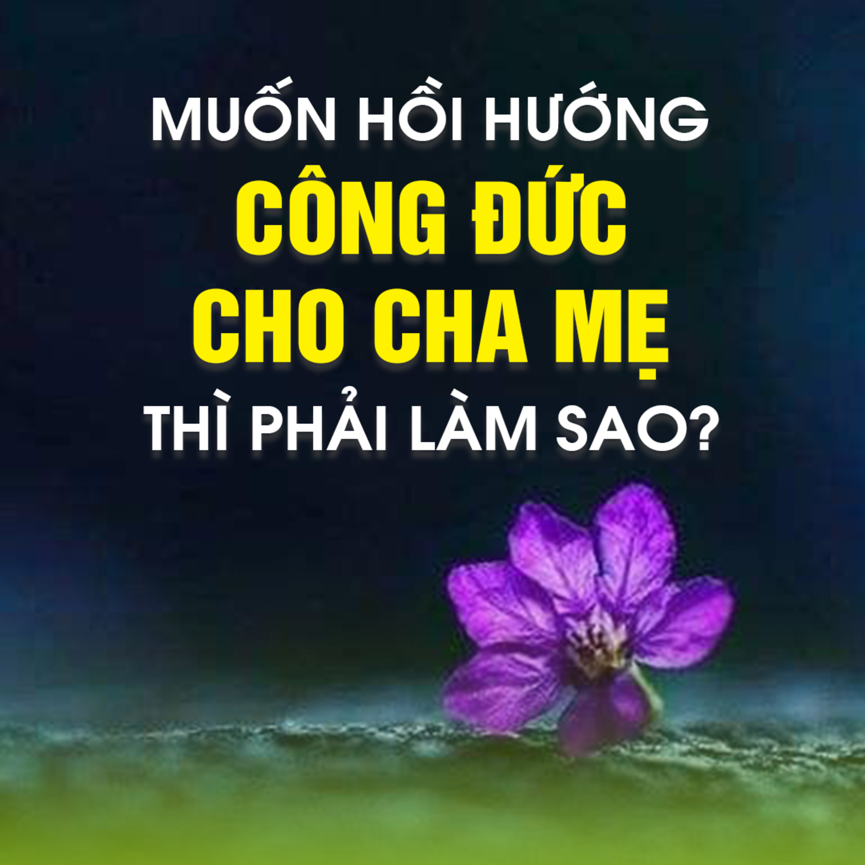 MUỐN HỒI HƯỚNG CÔNG ĐỨC CHO CHA MẸ THÌ PHẢI LÀM SAO - Trích bài Pháp Cú 40 - TT. TS Thích Chân Quang