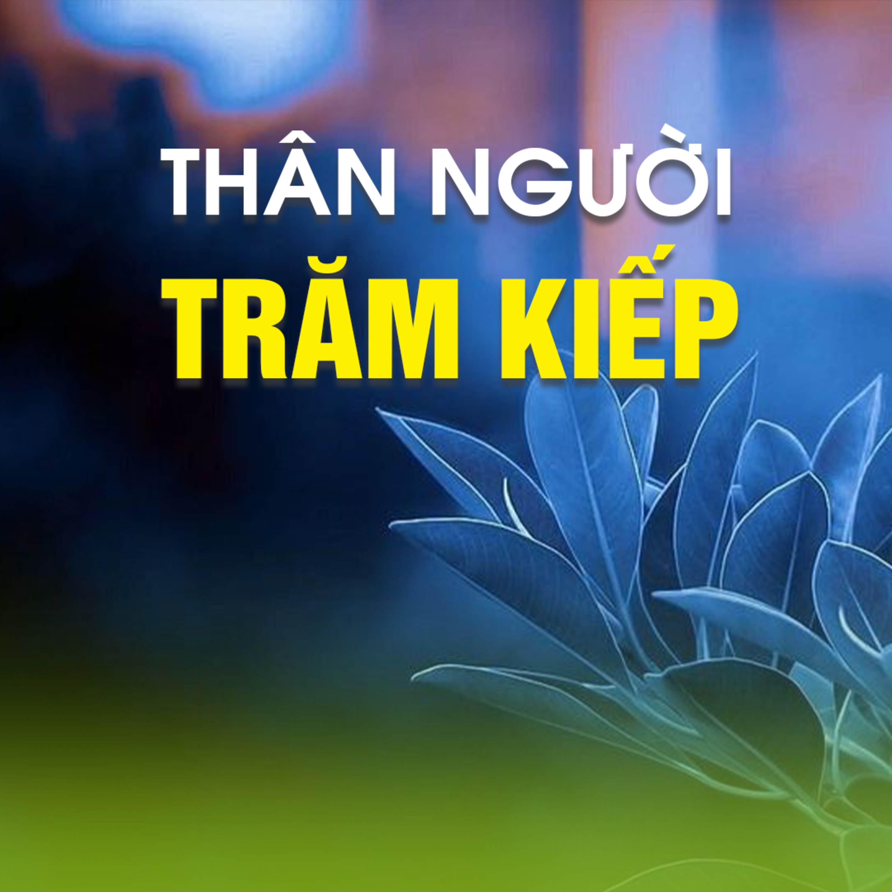THÂN NGƯỜI TRĂM KIẾP- Trích trong bài ĐẦU NĂM CẦU PHÚC - TT. TS. Thích Chân Quang episode artwork