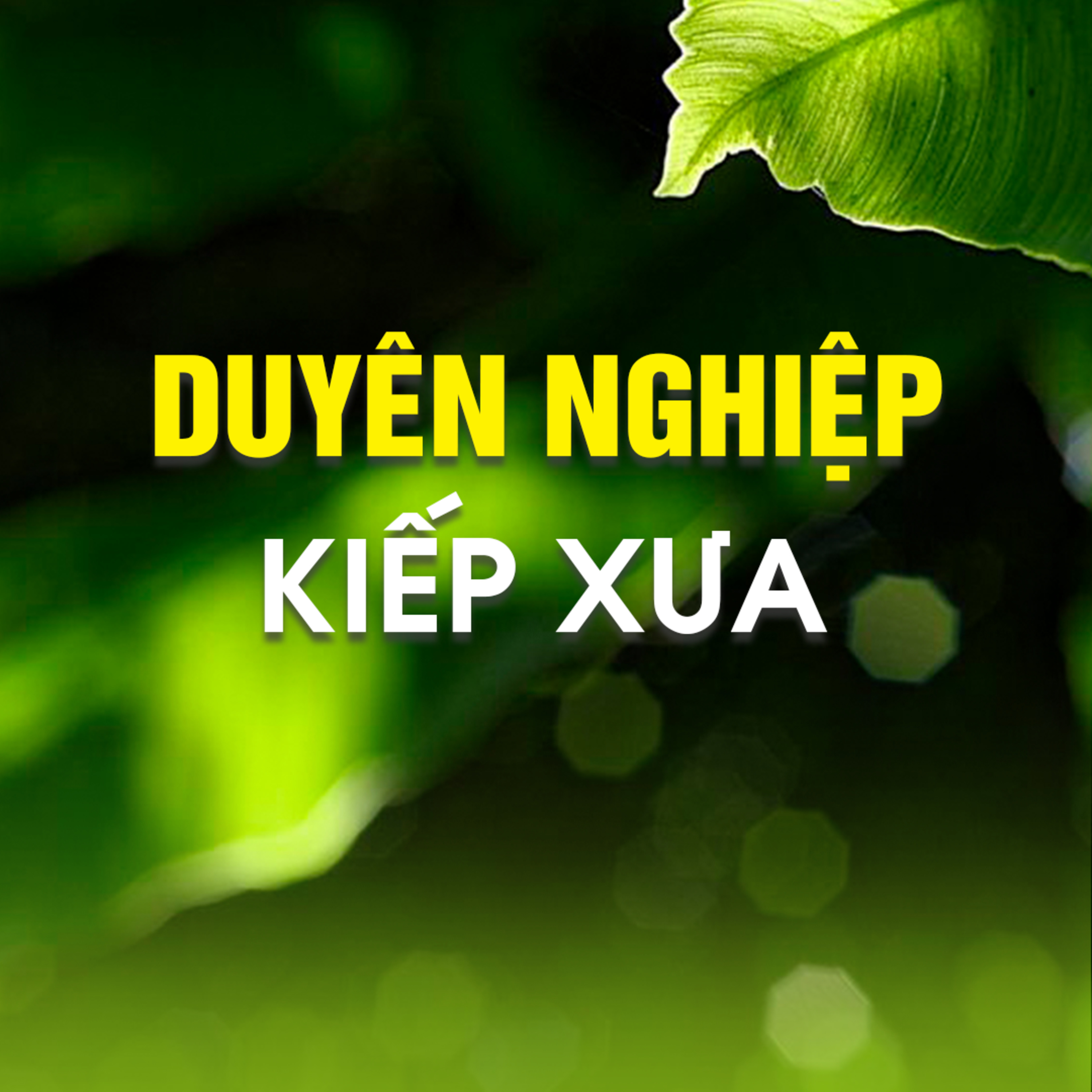 DUYÊN NGHIỆP KIẾP XƯA - Trích bàiTình Yêu Thương - TT. TS. Thích Chân Quang episode artwork
