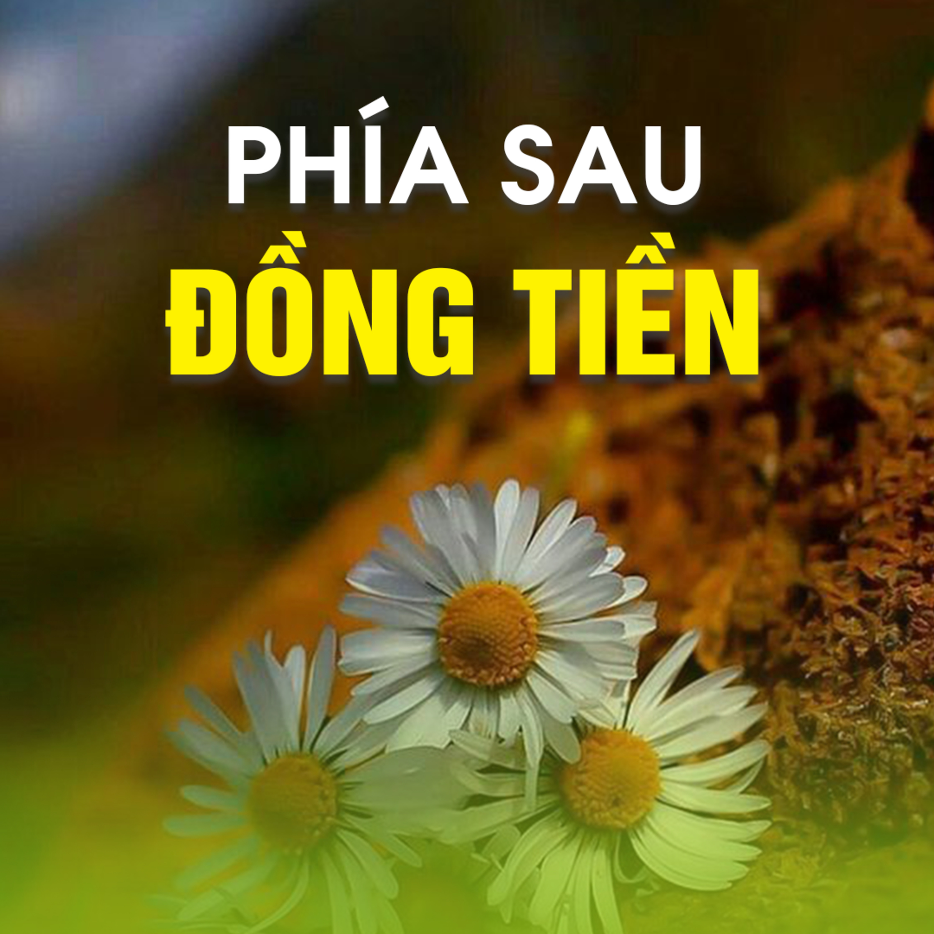 PHÍA SAU ĐỒNG TIỀN - Trích bài Phía Sau Hạnh Phúc - TT. TS. Thích Chân Quang
