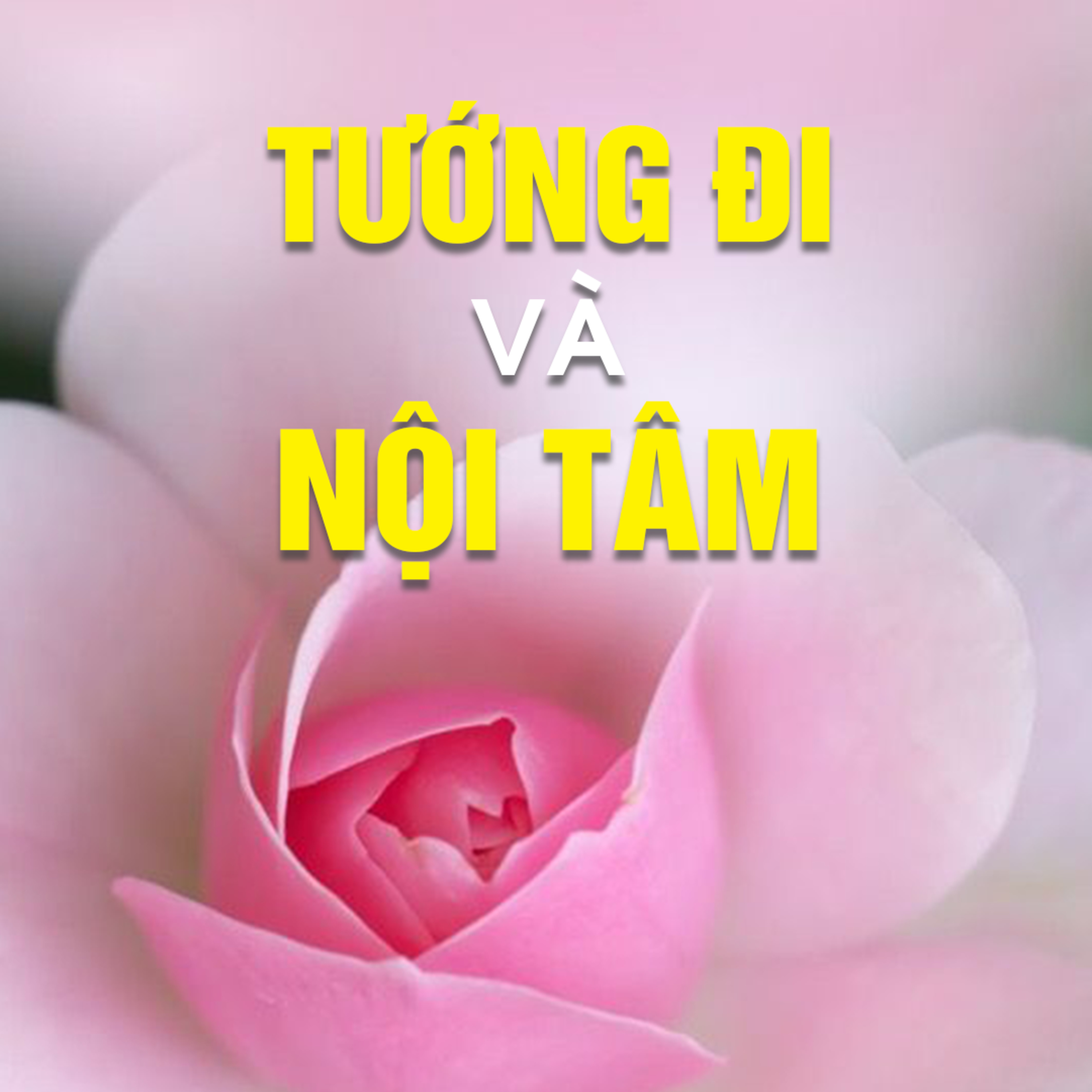 Tướng Đi Và Nội Tâm - Trích trong bài Đầu Năm Cầu Phúc và Giải Nghiệp - TT. TS. Thích Chân Quang episode artwork
