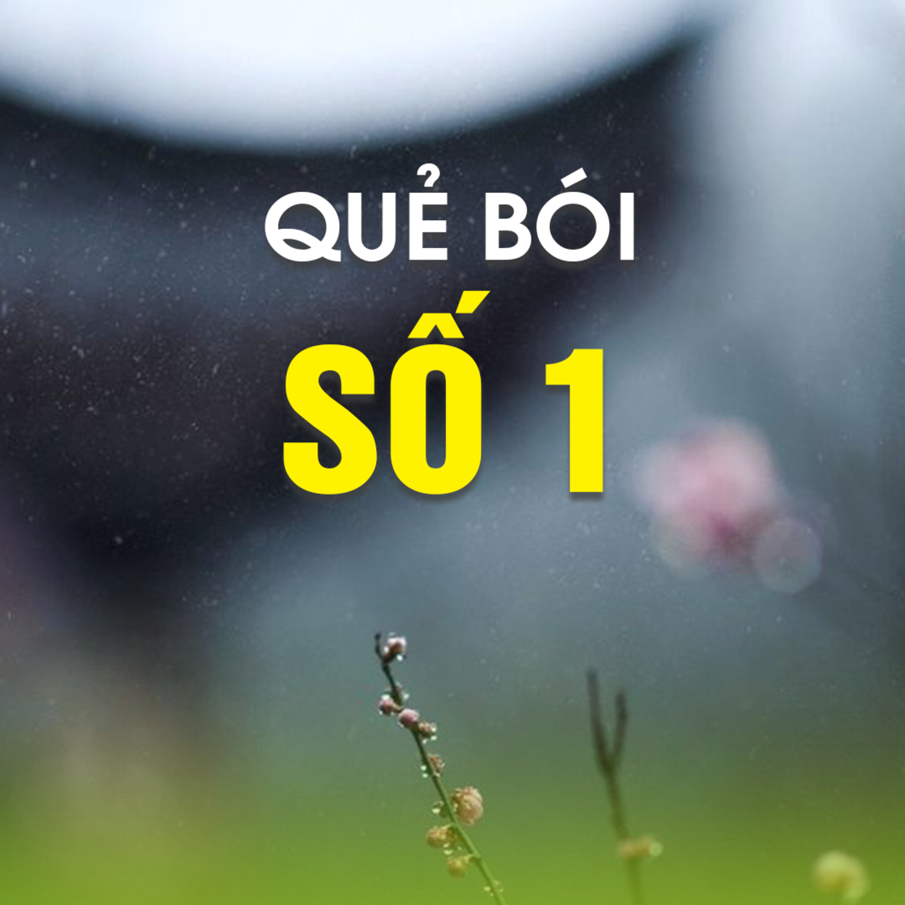 QUẺ BÓI SỐ 1 - Trích bài Đầu Năm Cầu Phúc & Giải Nghiệp - TT. TS. Thích Chân Quang episode artwork