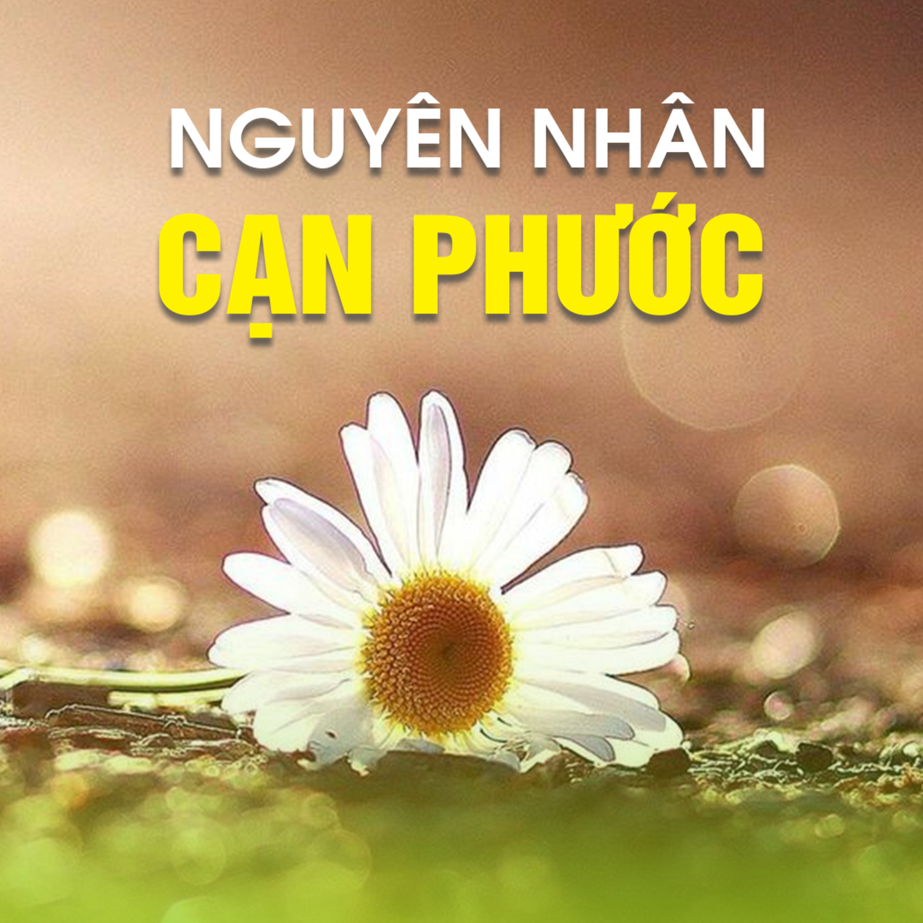 NGUYÊN NHÂN CẠN PHƯỚC - Trích trong bài PHƯỚC BẤT KHẢ HƯỞNG TẬN - TT. TS Thích Chân Quang