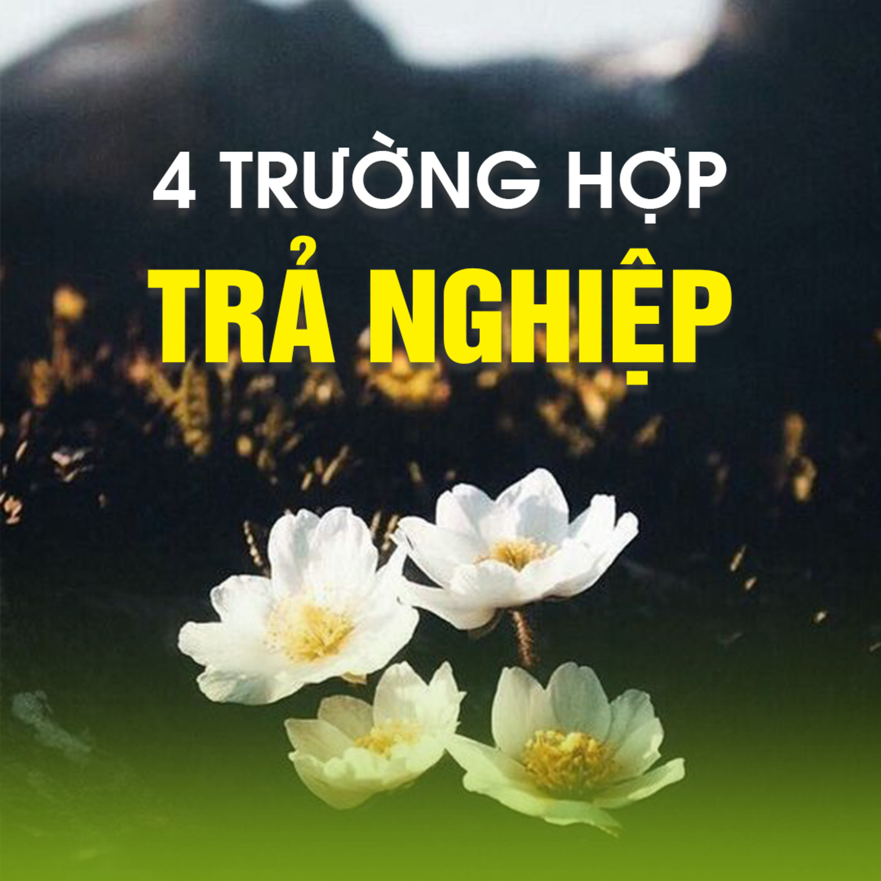 4 TRƯỜNG HỢP TRẢ NGHIỆP - Trích trong bài Ý NGHĨA SỰ SÁM HỐI - TT. TS. Thích Chân Quang episode artwork