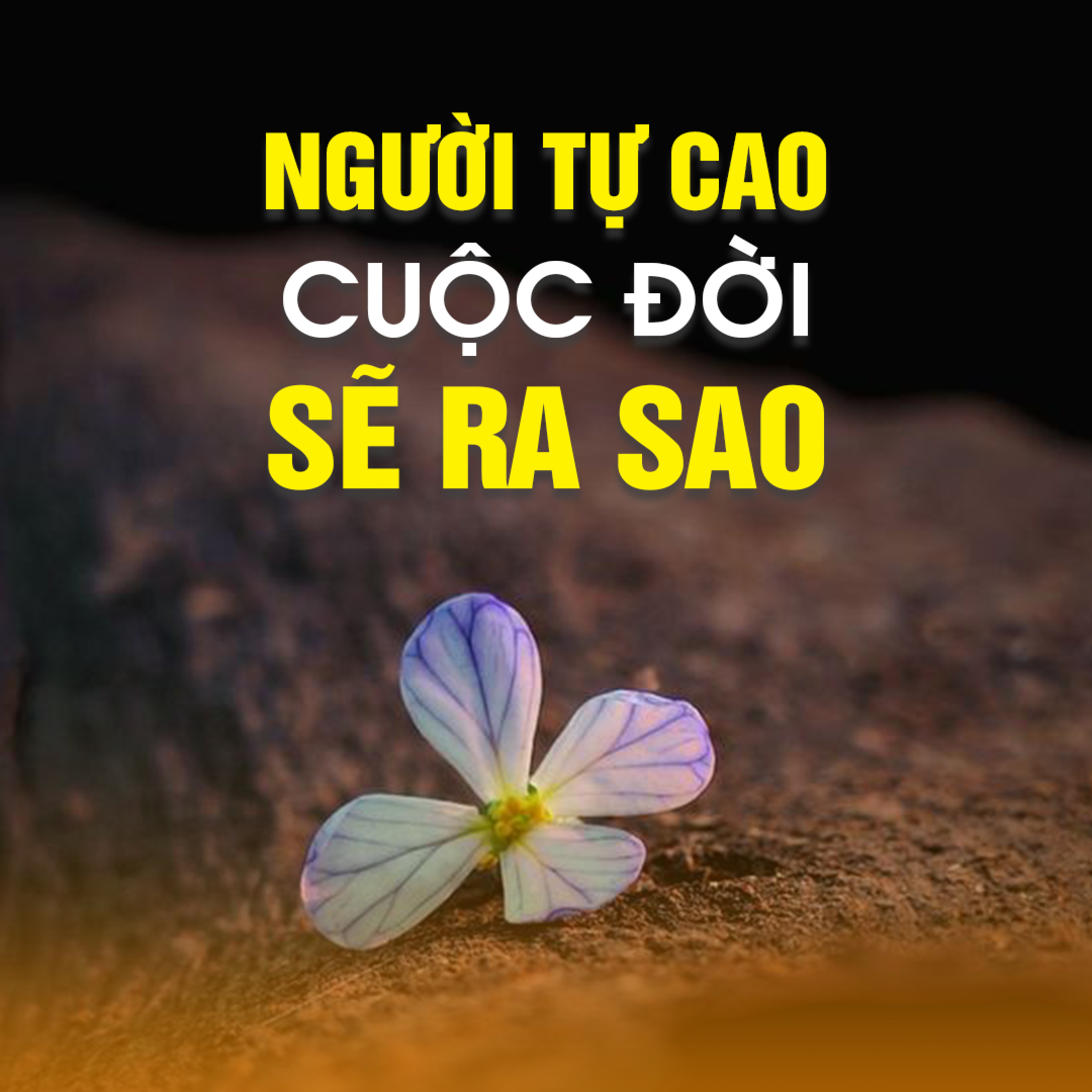 Người Tự Cao, Cuộc Đời Sẽ Ra Sao - Trích trong bài Kiêu Mạn Âm Thầm...- TT. TS. Thích Chân Quang episode artwork