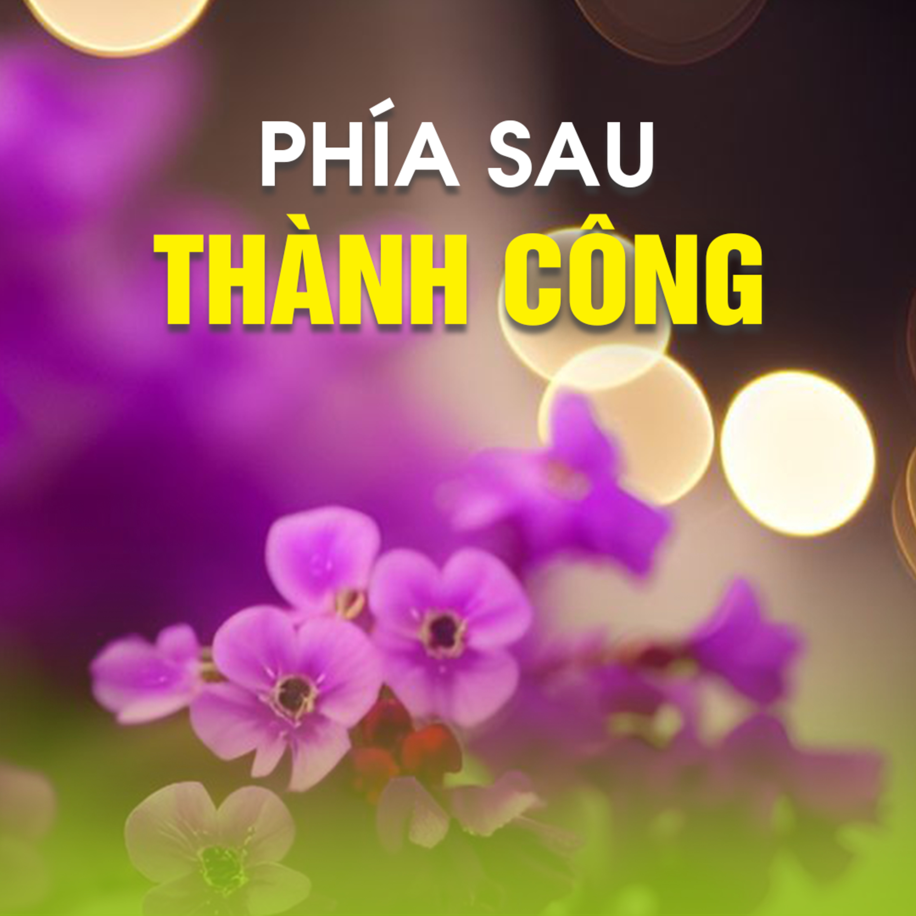 PHÍA SAU THÀNH CÔNG - Trích bài Yên Tâm Về Mình - TT. TS. Thích Chân Quang episode artwork