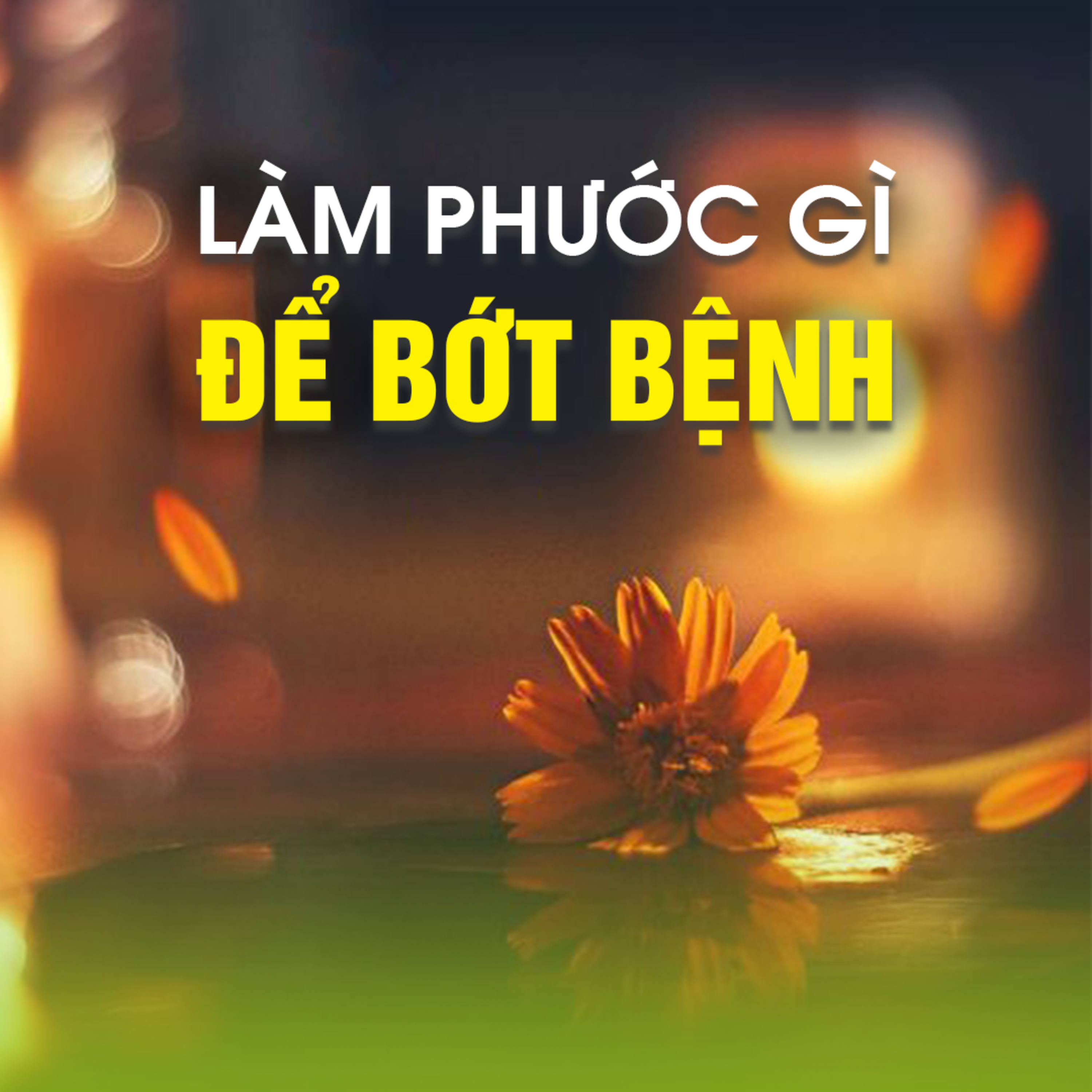 LÀM PHƯỚC GÌ ĐỂ BỚT BỆNH - Trích bài Thân Xác Vô Thường (Pháp Cú 48) - TT. TS Thích Chân Quang episode artwork