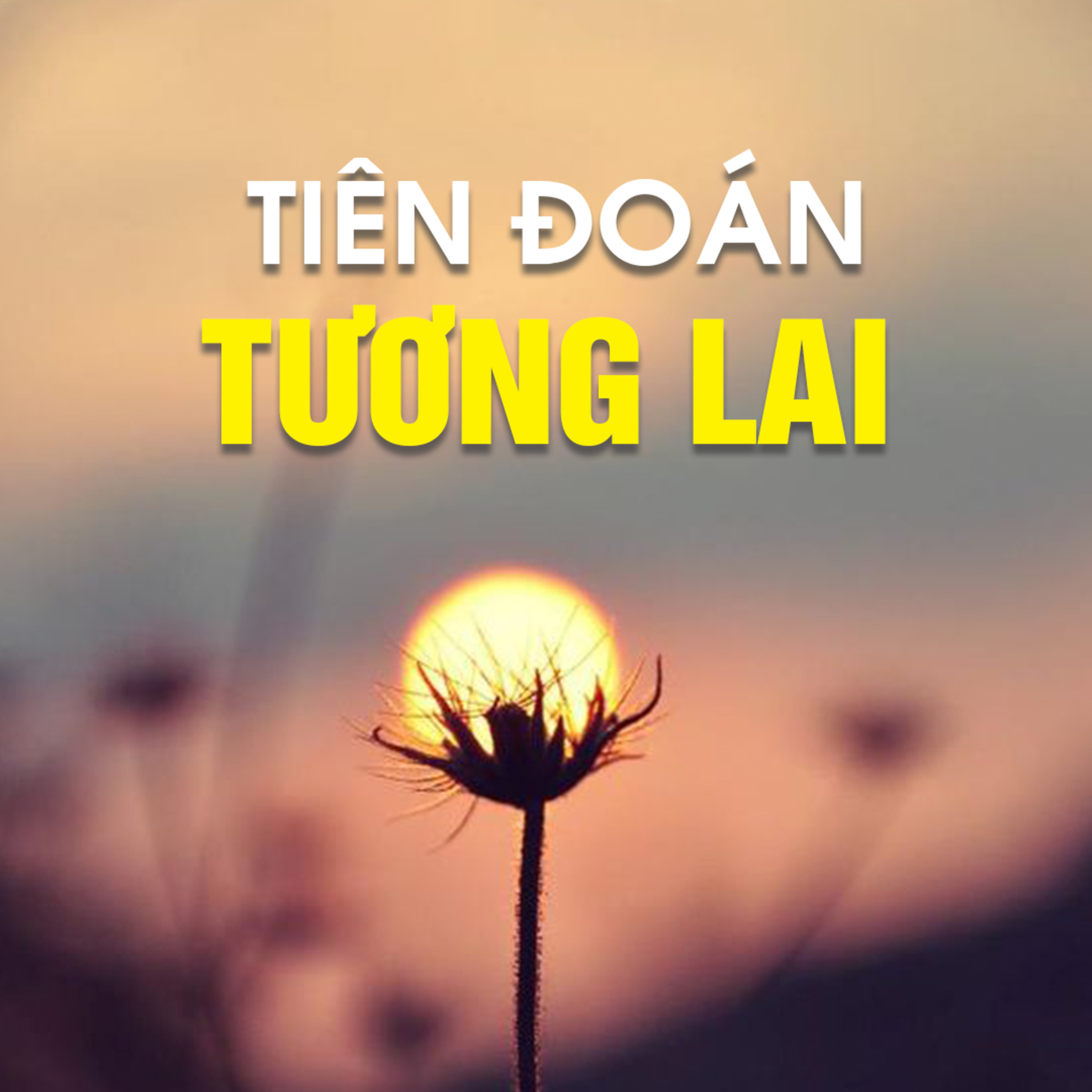 TIÊN ĐOÁN TƯƠNG LAI - Trích bài Đầu Năm Cầu Phúc & Giải Nghiệp - TT. TS. Thích Chân Quang episode artwork