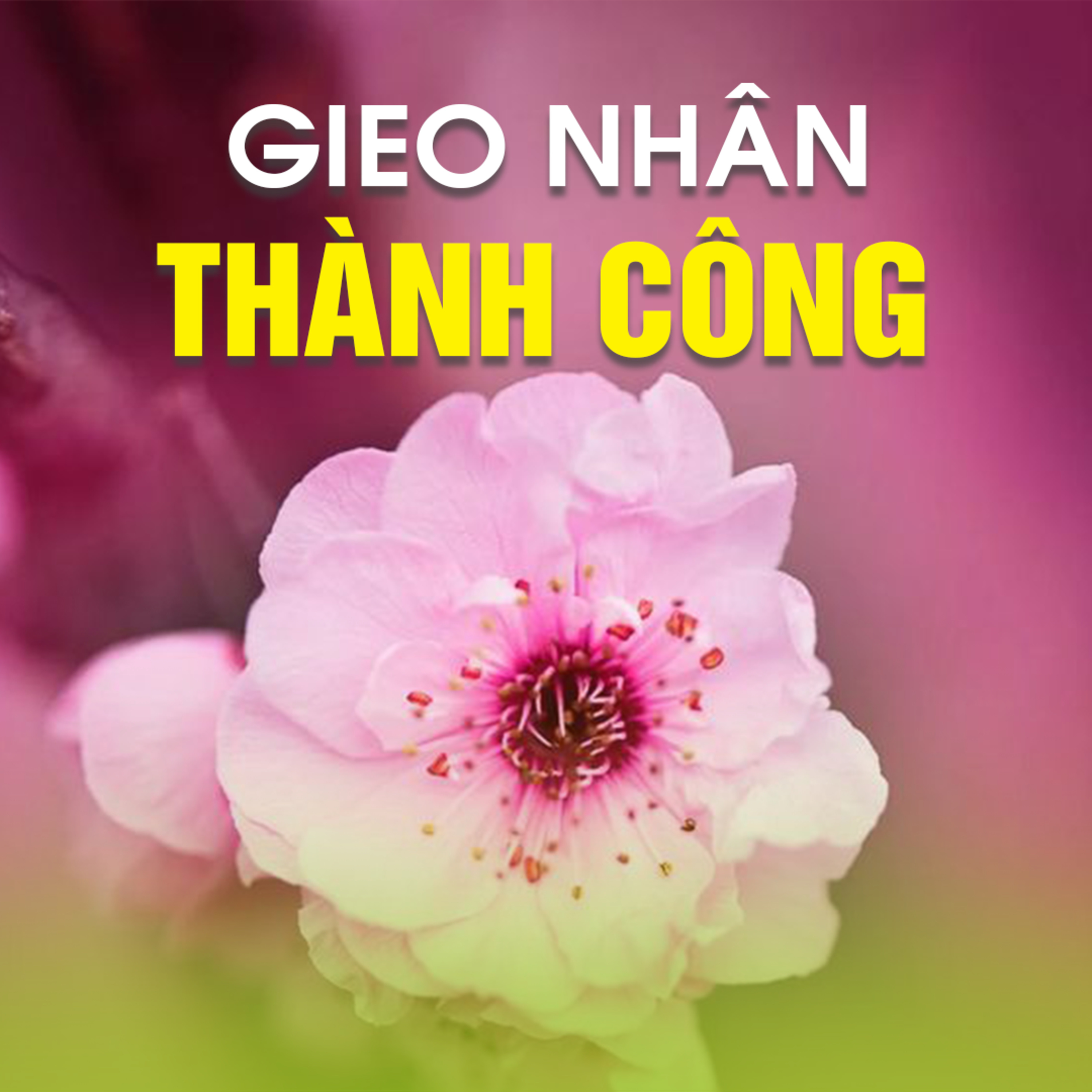 GIEO NHÂN THÀNH CÔNG -Trích Buổi nói chuyện vs Thanh Niên(Tầm nhìn tương lai)-TT. TS Thích Chân Quang episode artwork