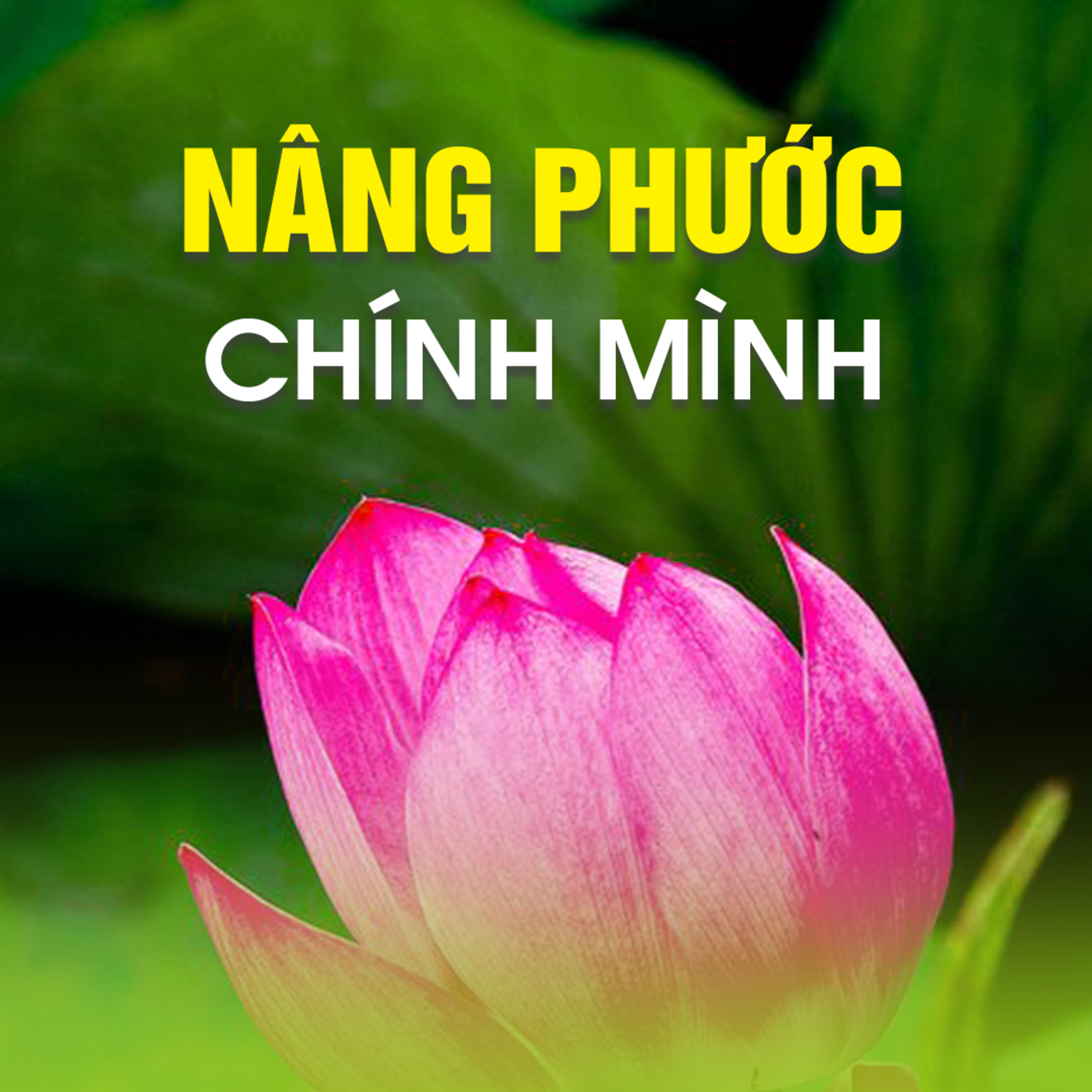 NÂNG PHƯỚC CHÍNH MÌNH - Trích bài Làm Gì Cho Cuộc Đời - TT. TS. Thích Chân Quang episode artwork