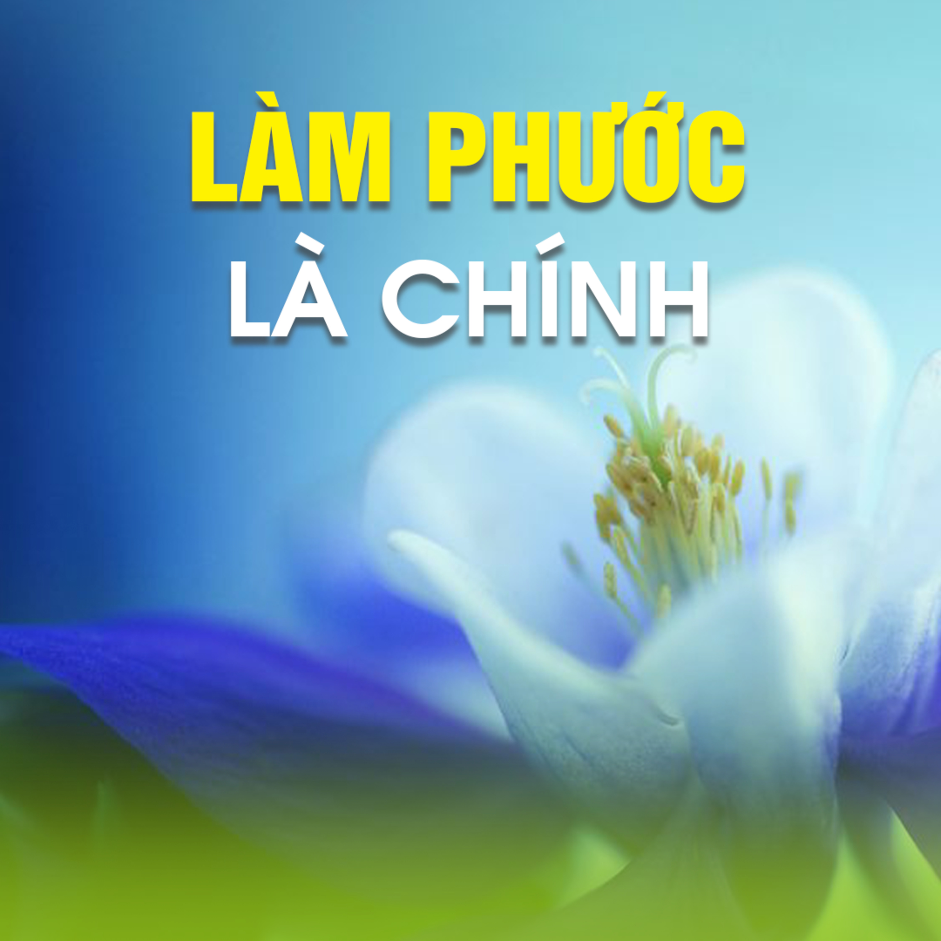 LÀM PHƯỚC LÀ CHÍNH - Trích bài Cái Gì Cũng Có Số (Phần 1) - TT. TS. Thích Chân Quang
