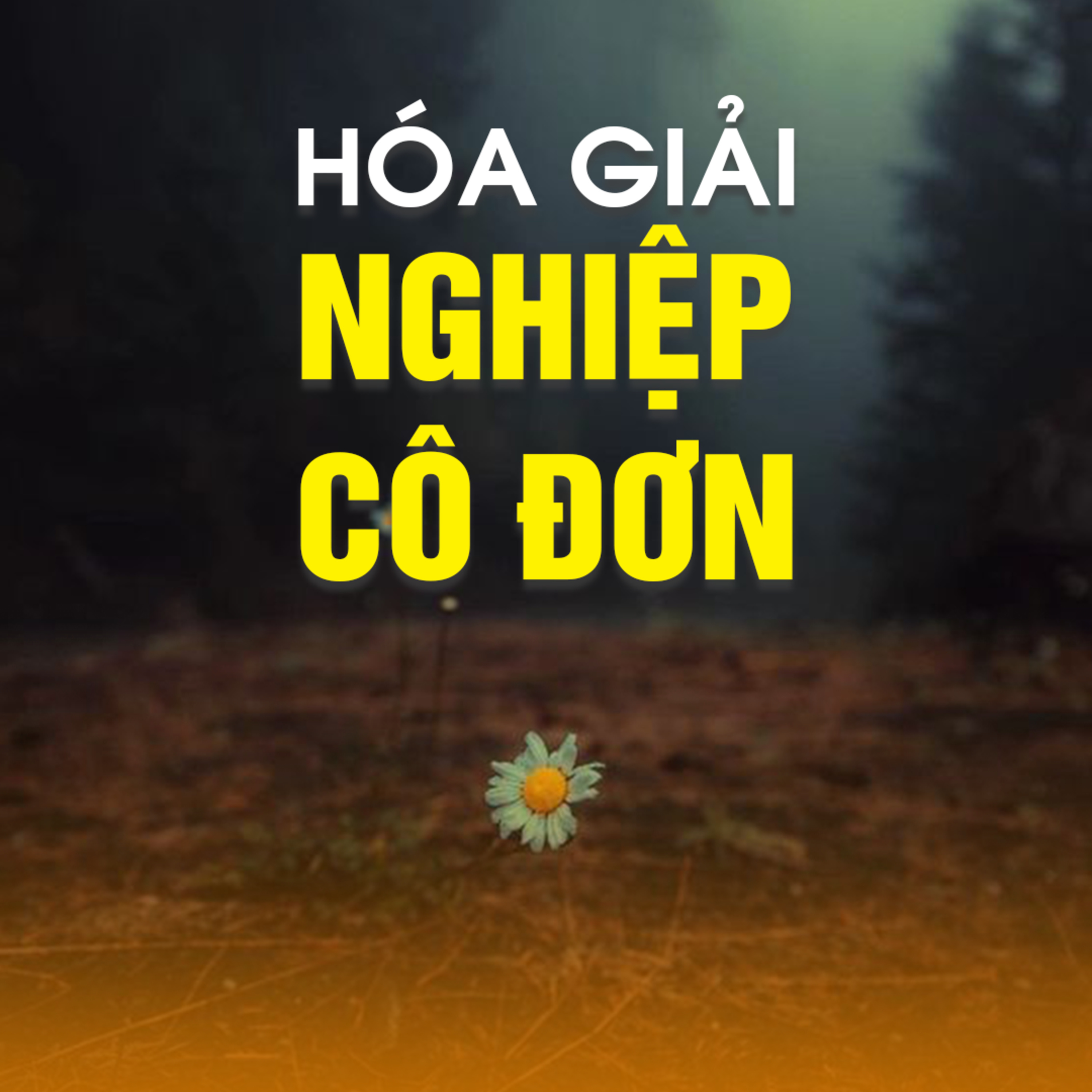 HÓA GIẢI NGHIỆP CÔ ĐƠN - Trích bài Đạo Tràng Huynh Đệ Mến Thương - TT. TS. Thích Chân Quang episode artwork