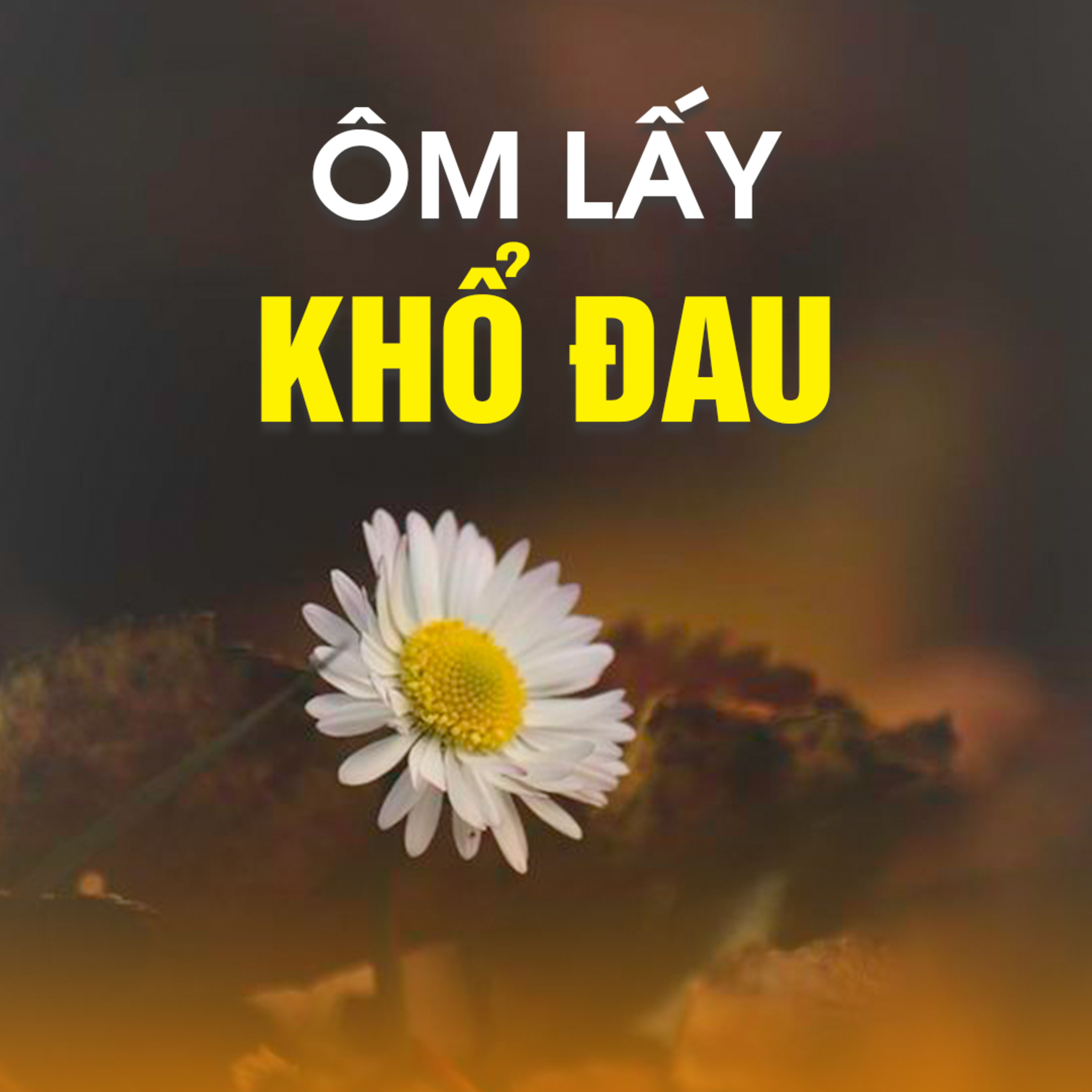 ÔM LẤY KHỔ ĐAU - Trích bài Yên Tâm Về Mình - TT. TS. Thích Chân Quang episode artwork
