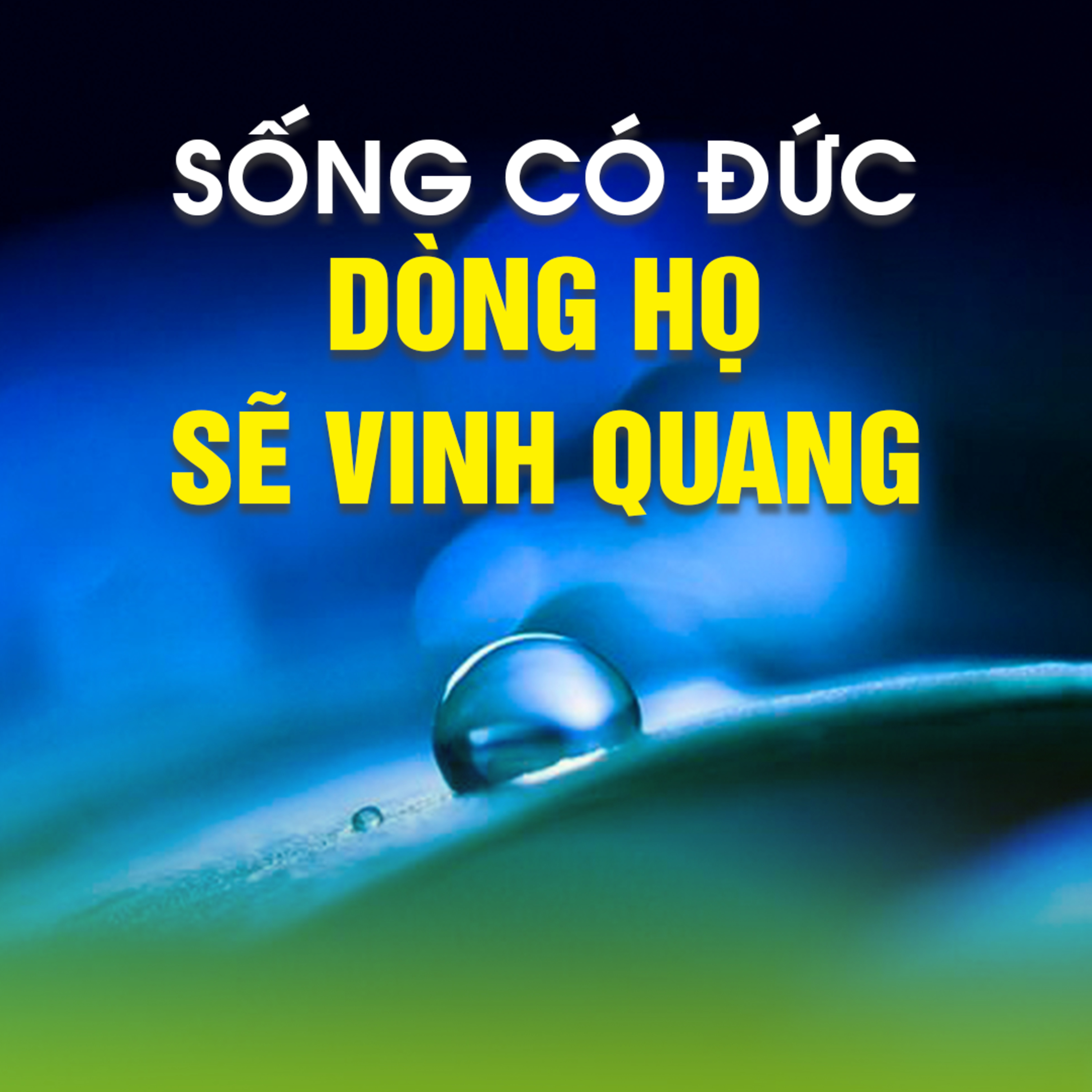 Sống có đức dòng họ sẽ vinh quang -Trích bài PHƯỚC BẤT KHẢ ...-TT.TS.Thích Chân Quang