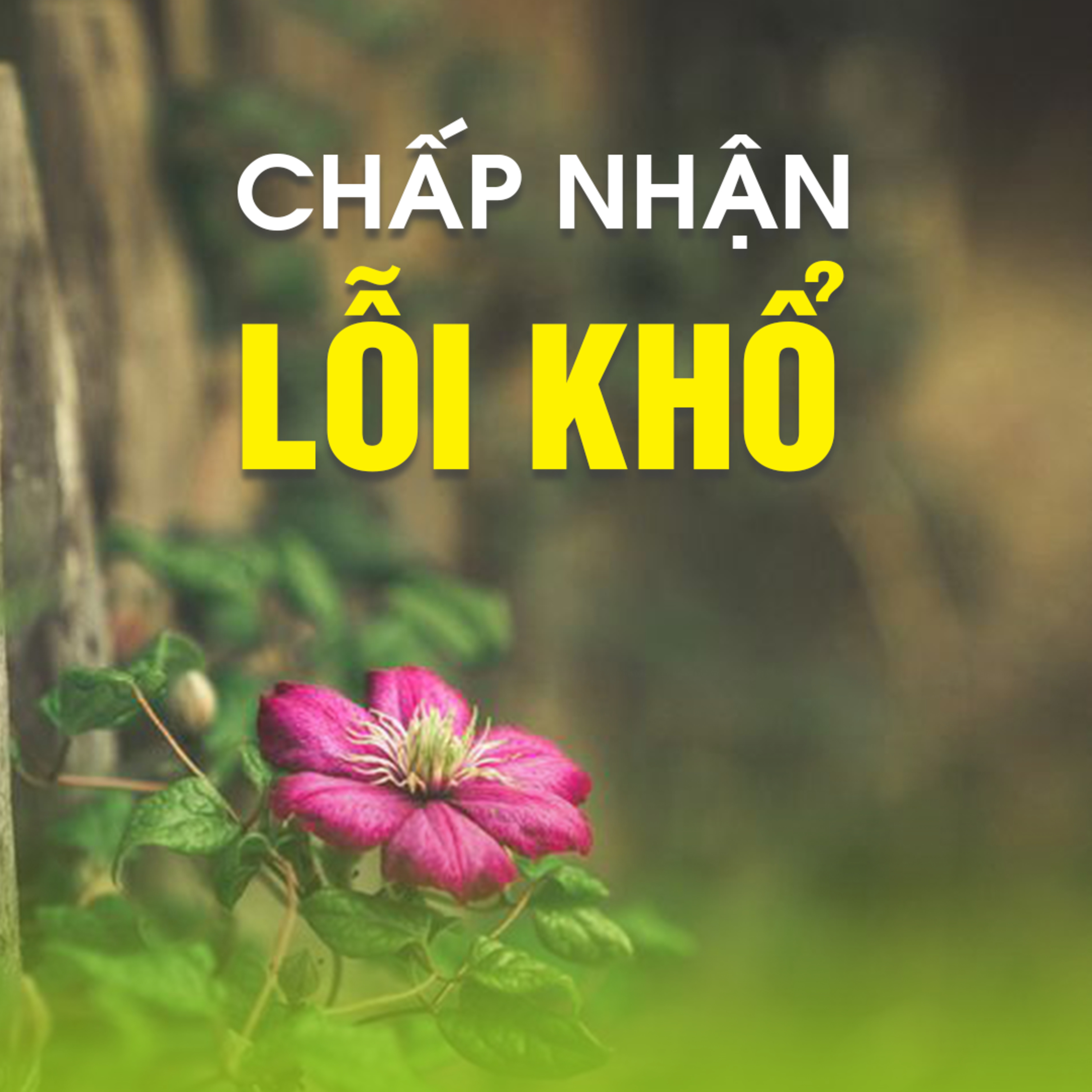 CHẤP NHẬN NỖI KHỔ - Trích bài Bình An Trong Cái Vui Cái Khổ - TT. TS. Thích Chân Quang episode artwork