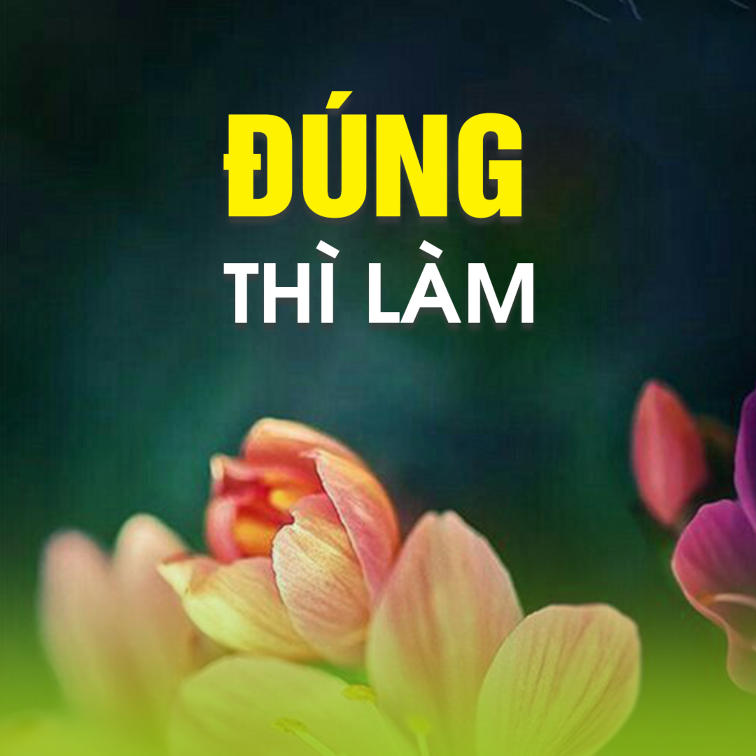 ĐÚNG THÌ LÀM - Trích bài Yên Tâm Về Mình - TT. TS. Thích Chân Quang