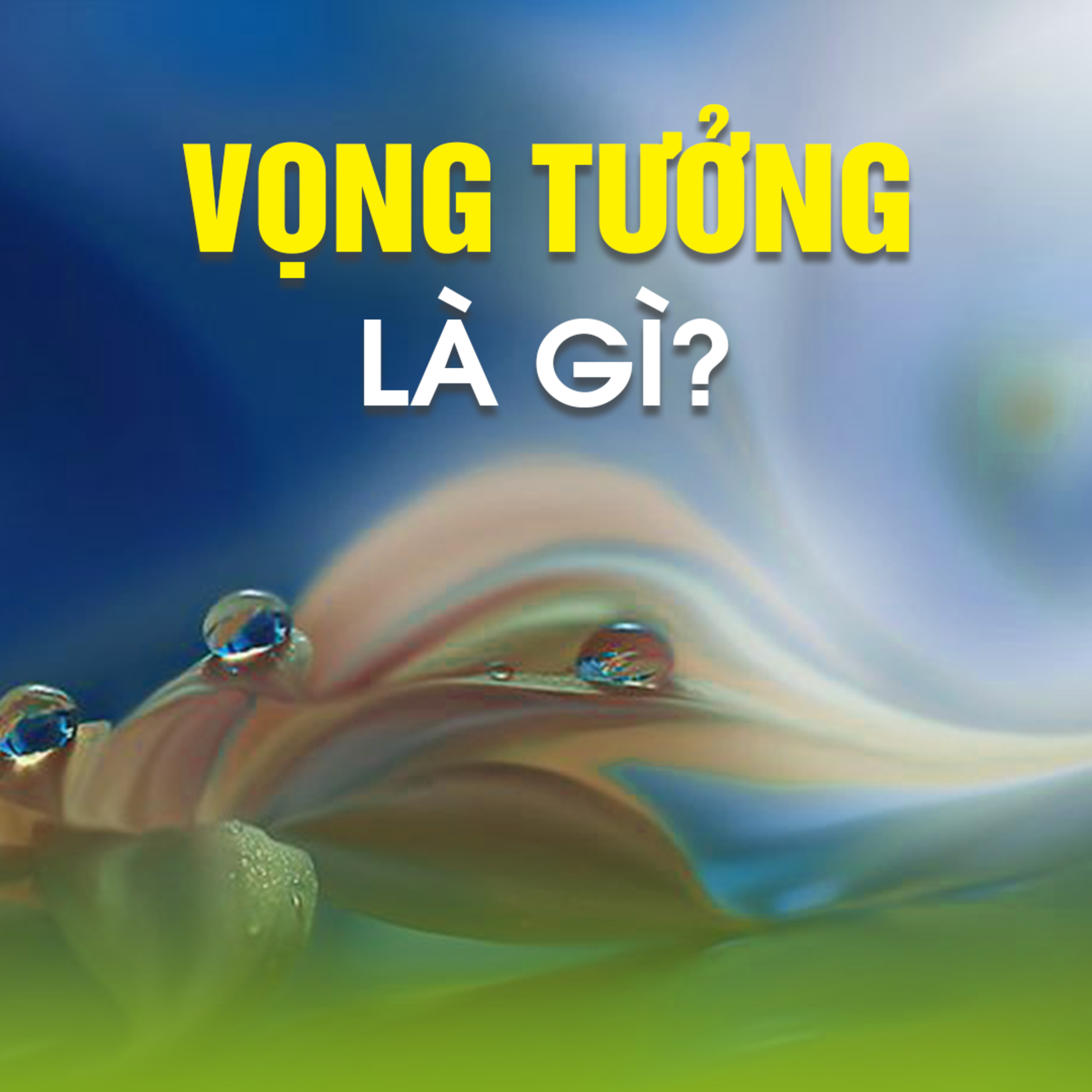 VỌNG TƯỞNG LÀ GÌ? - Giải Đáp Thắc Mắc Chùa Từ Tân 12/08/2023 - TT. TS Thích Chân Quang episode artwork