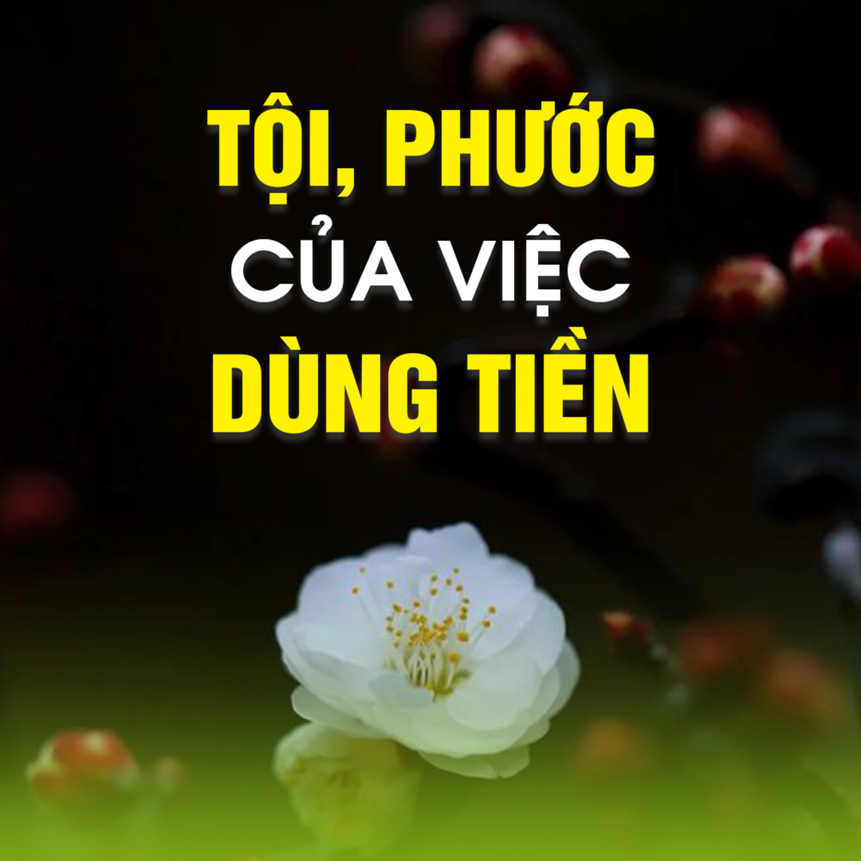 Tội - Phước của việc dùng Tiền -Trích trong bài Triết lý về tiền bạc B - TT.TS. Thích Chân Quang