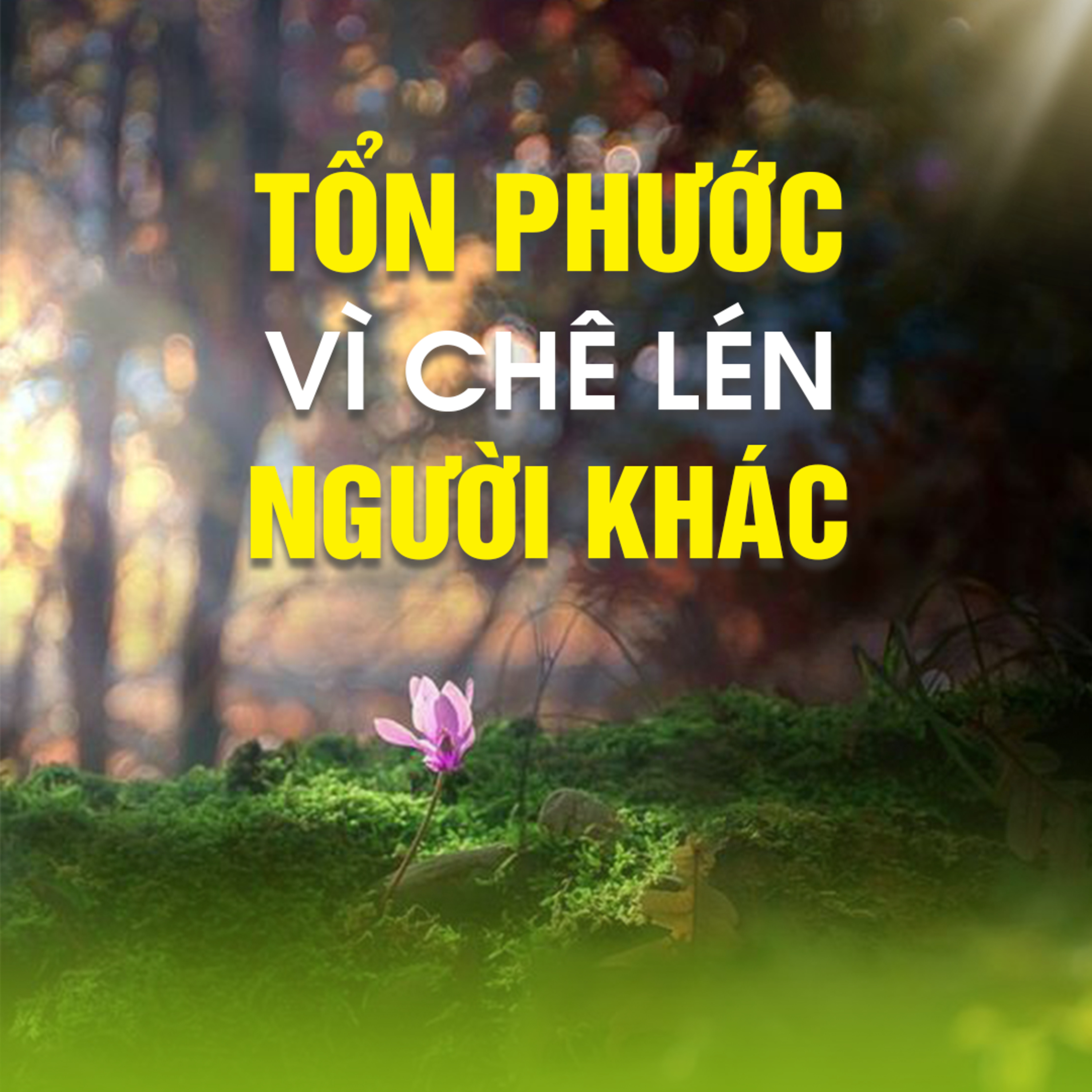 Tổn Phước Vì Chê Lén Người Khác-Trích bài Giải đáp thắc mắc ngày 28/05/2017- TT.TS. Thích Chân Quang episode artwork