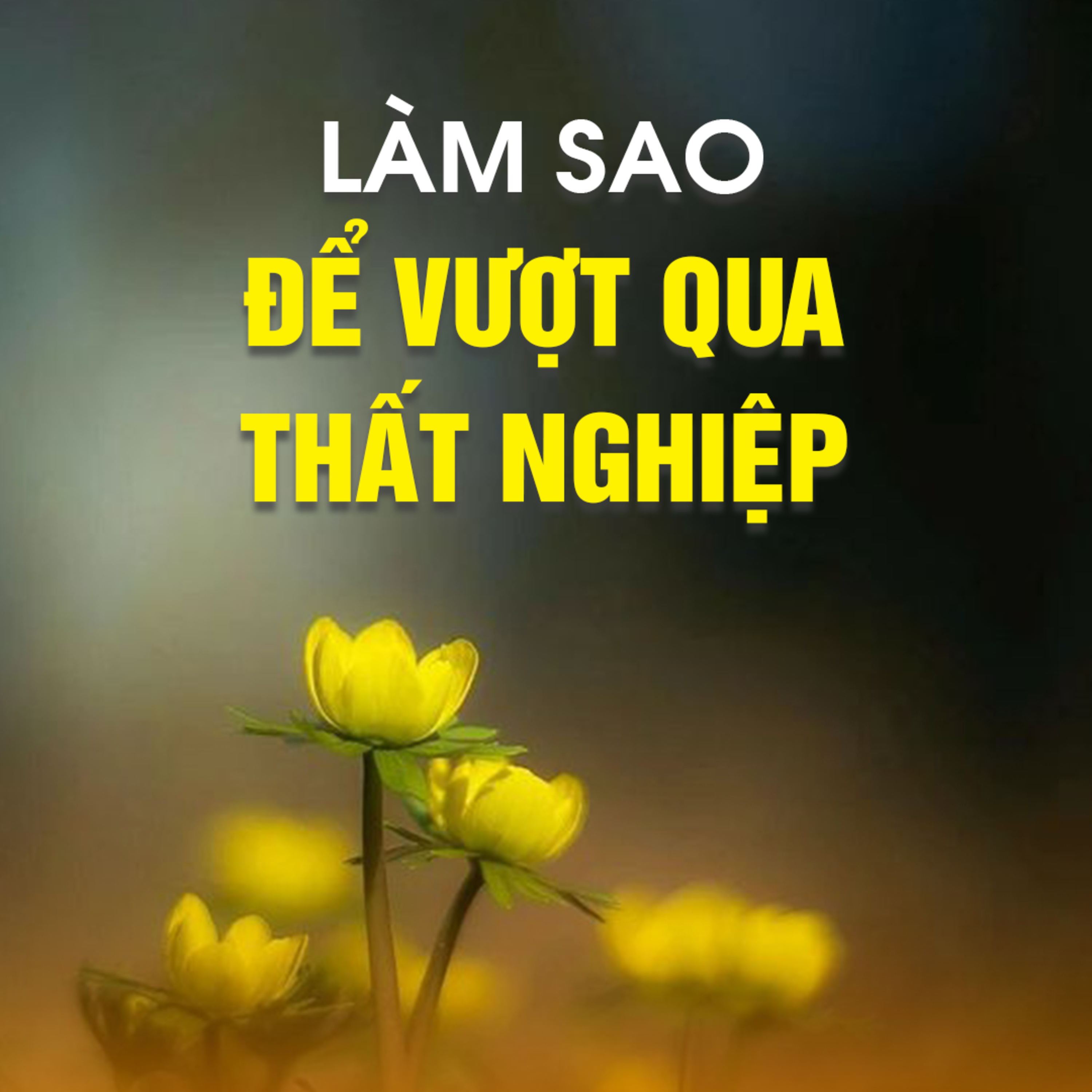 LÀM SAO ĐỂ VƯỢT QUA THẤT NGHIỆP - Trích bài Nỗi Đau Tột Cùng (Pháp Cú 39) - TT. TS Thích Chân Quang episode artwork