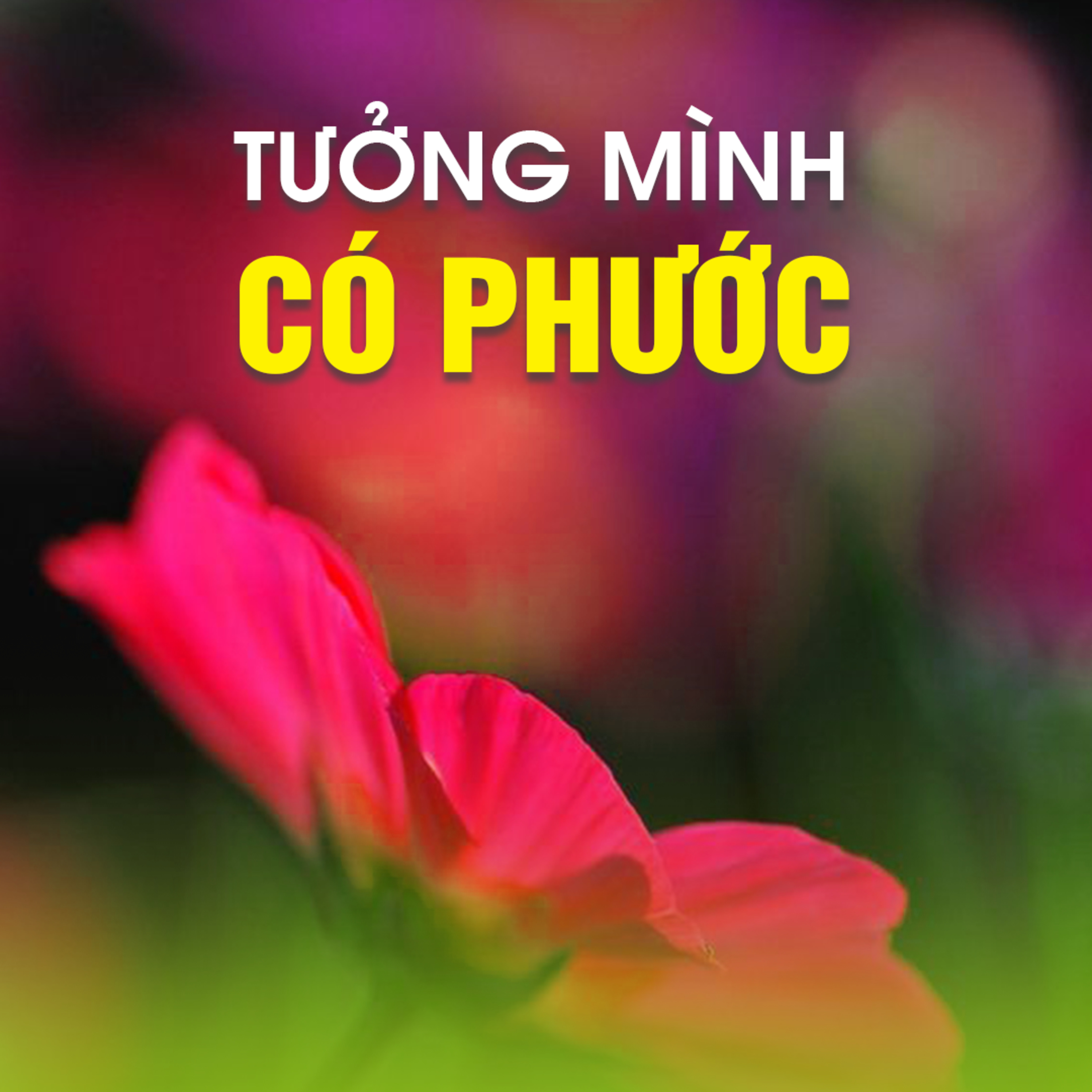 TƯỞNG MÌNH CÓ PHƯỚC - Trích bài Âm Mưu Hại Phật (PC 70) - TT. TS Thích Chân Quang episode artwork