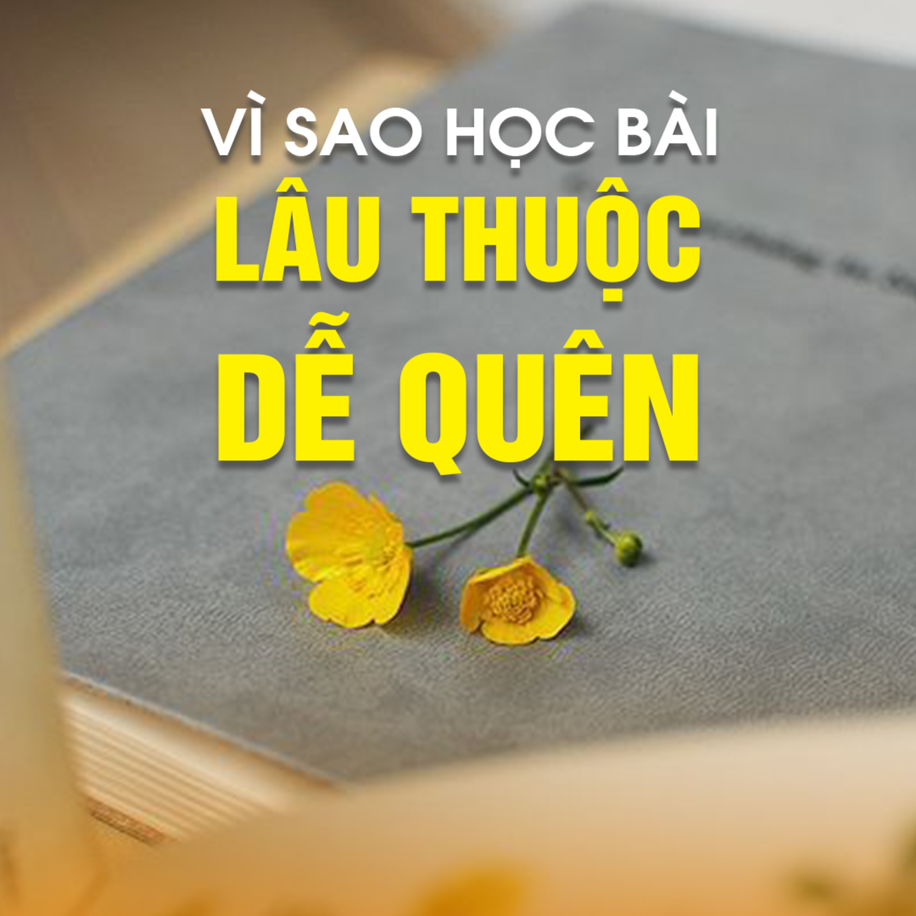 VÌ SAO HỌC BÀI LÂU THUỘC, DỄ QUÊN? - Trích bài Đào Hoa (Pháp Cú 71) - TT. TS Thích Chân Quang episode artwork