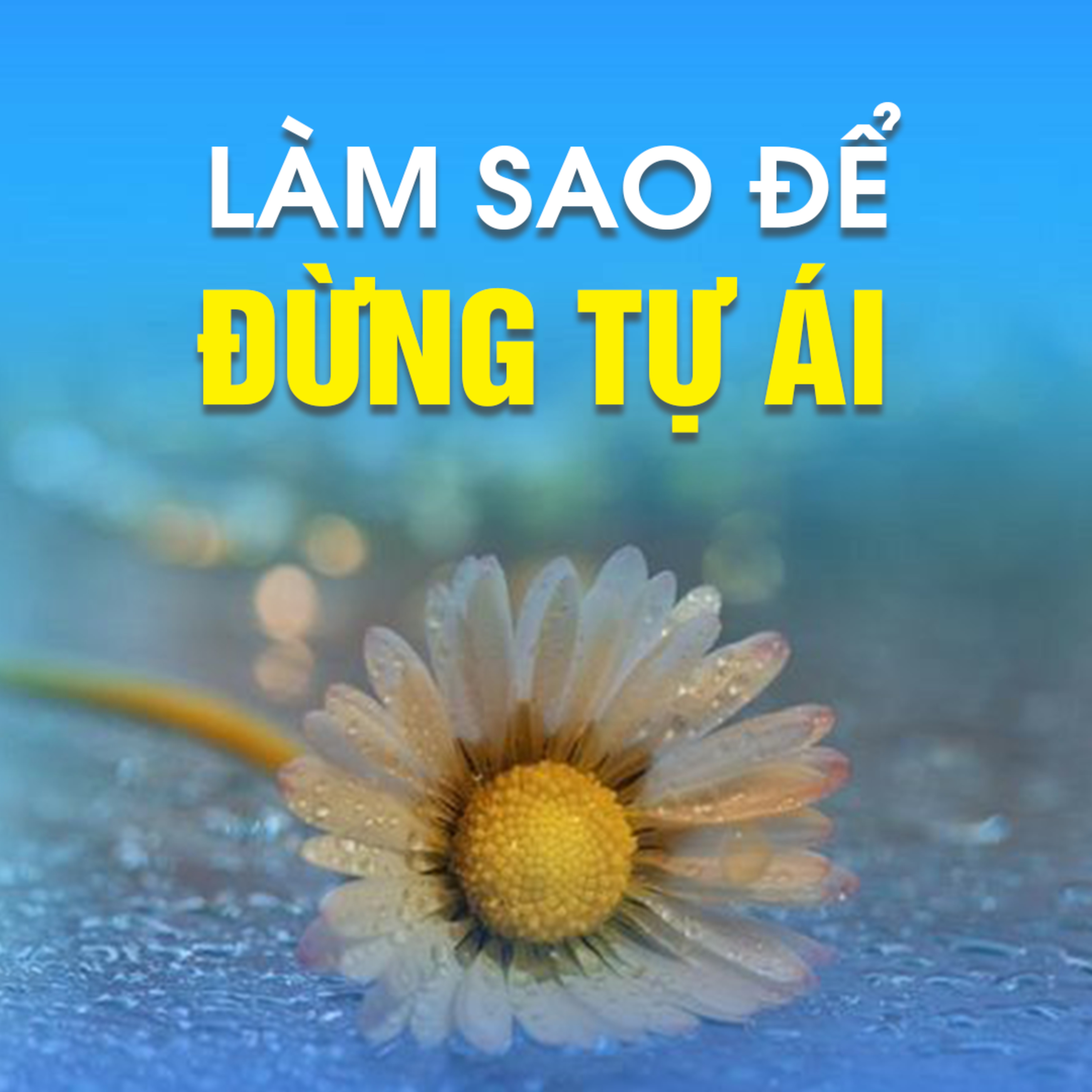 LÀM SAO ĐỂ ĐỪNG TỰ ÁI - Trích bài Ngoài Vòng Pháp Luật (Pháp Cú 44) - TT. TS Thích Chân Quang episode artwork