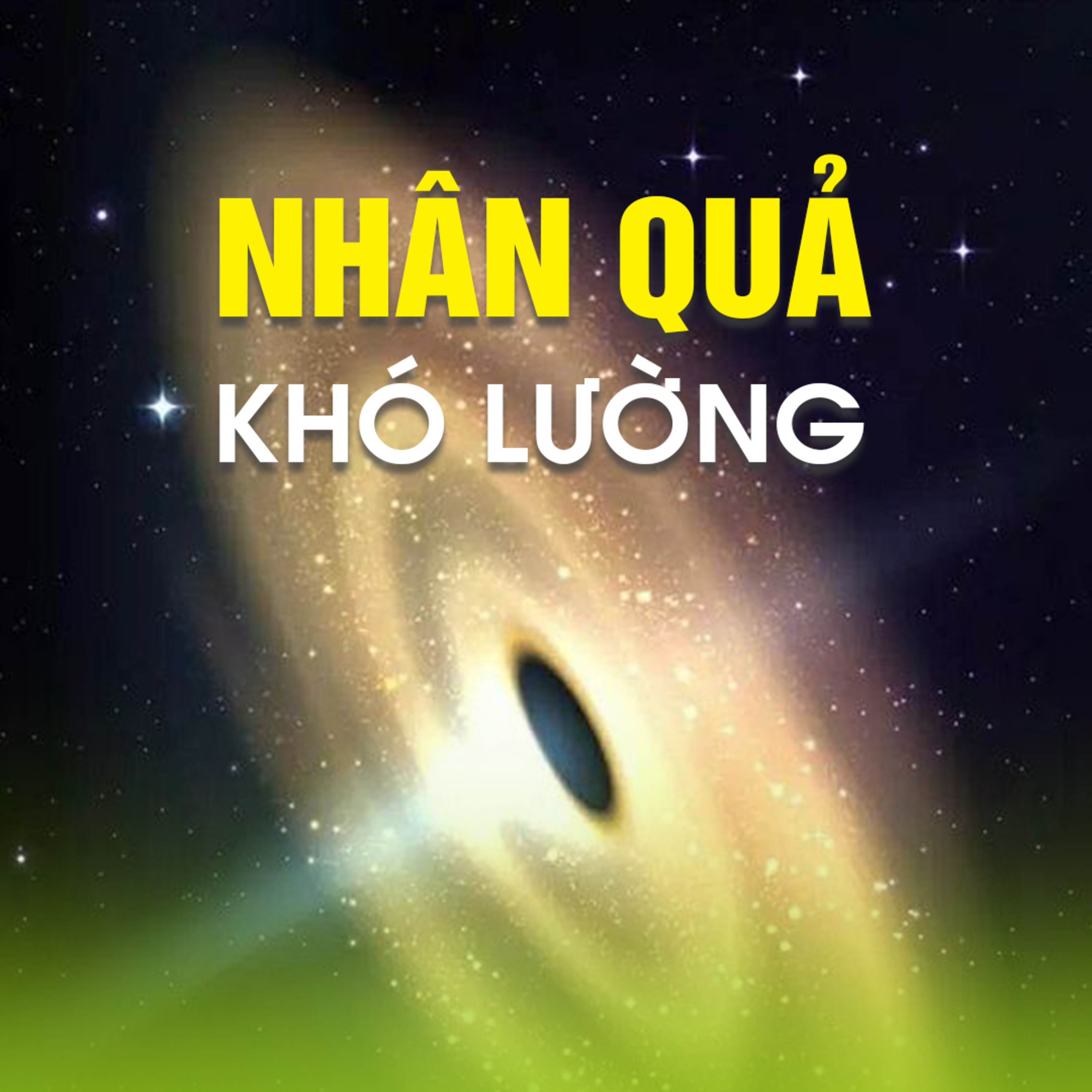 Nhân quả khó lường - Trích bài giảng TRỌN LÒNG THEO PHẬT - TT.TS. Thích Chân Quang episode artwork