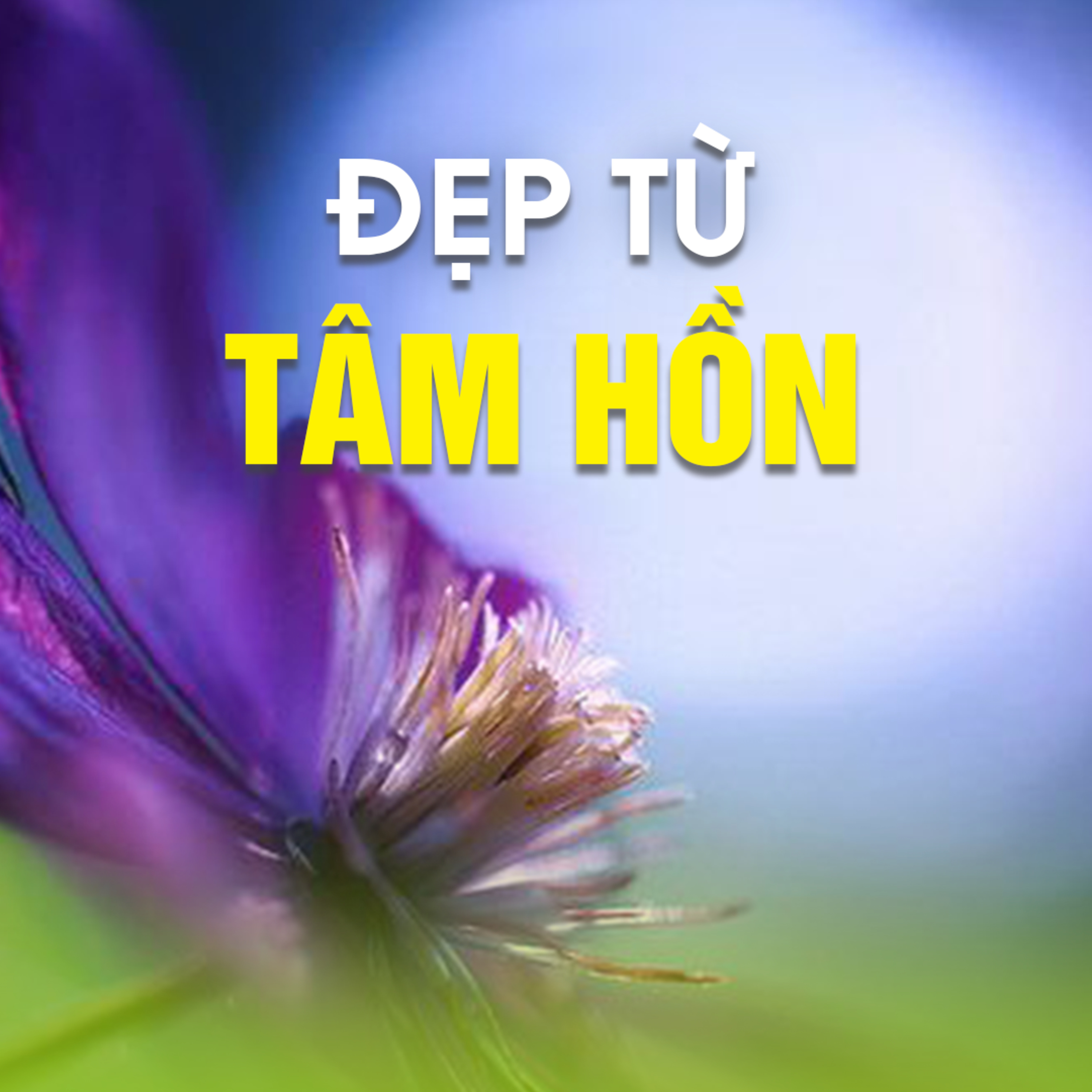 ĐẸP TỪ TÂM HỒN - Trích bài Chuyện Luân Hồi Hiện Đại - TT. TS. Thích Chân Quang episode artwork