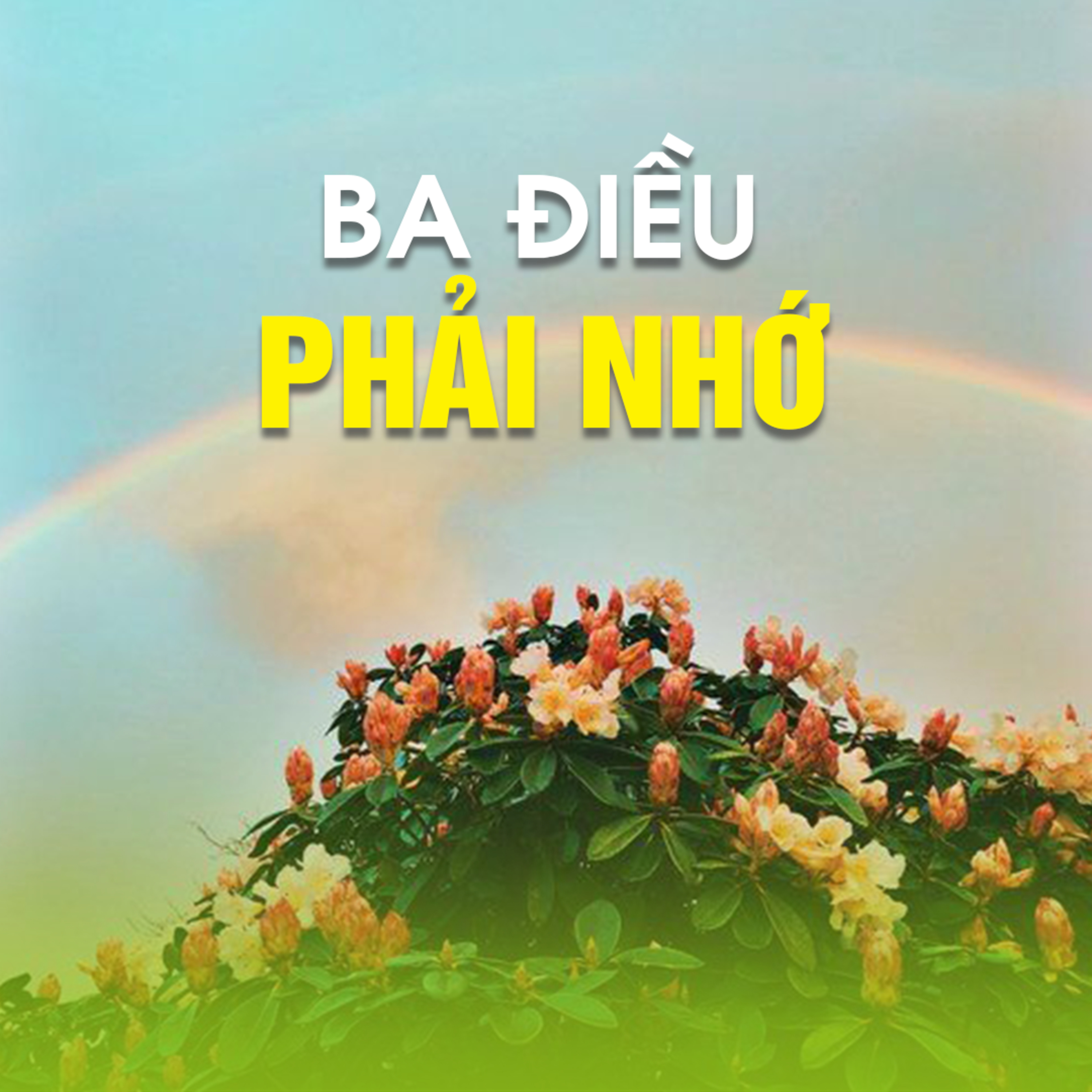 BA ĐIỀU PHẢI NHỚ - Trích bài Ý Nghiệp - TT. TS. Thích Chân Quang episode artwork