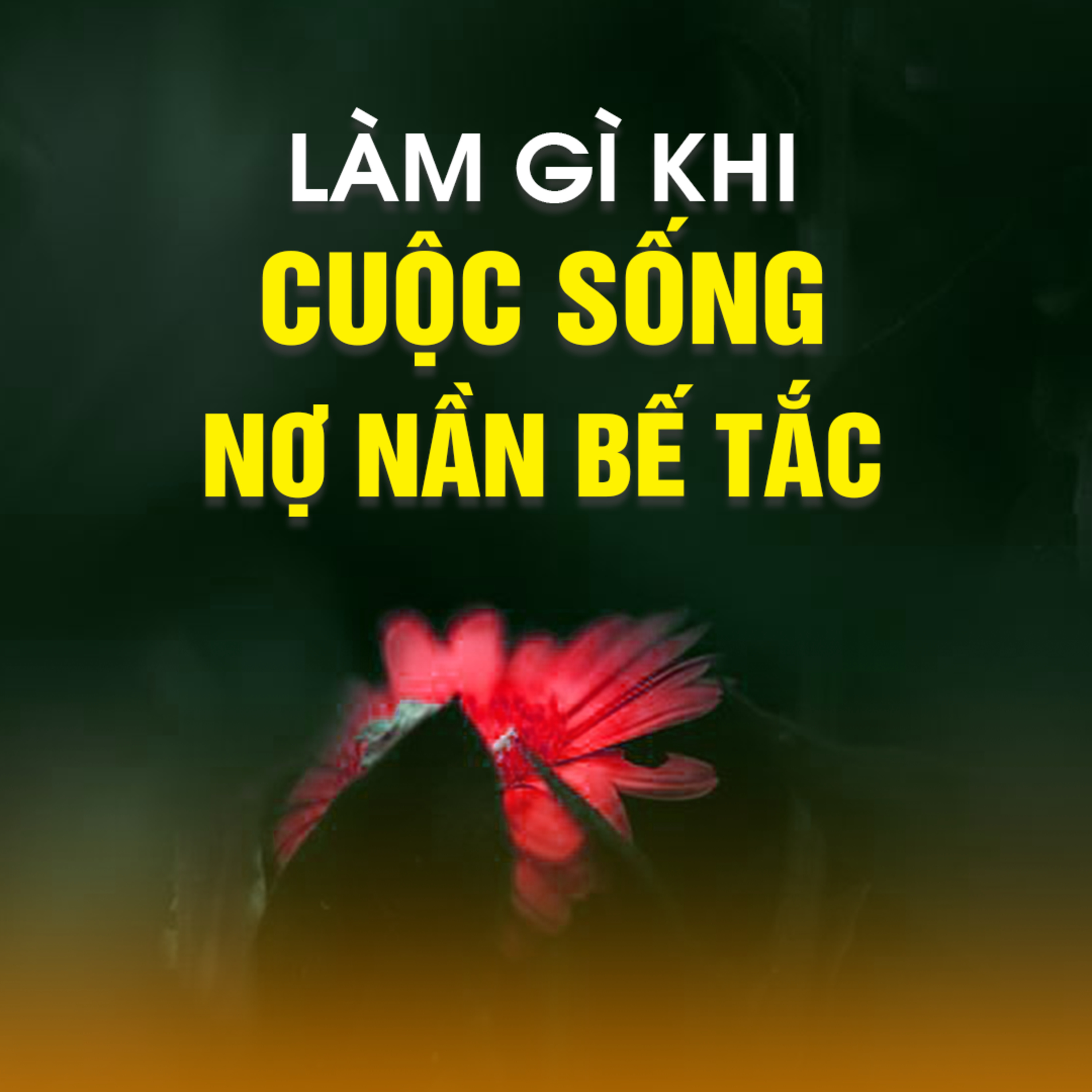 LÀM GÌ KHI CUỘC SỐNG NỢ NẦN BẾ TẮC? - Trích bài Như Voi Rừng Một Cõi - TT. TS Thích Chân Quang episode artwork
