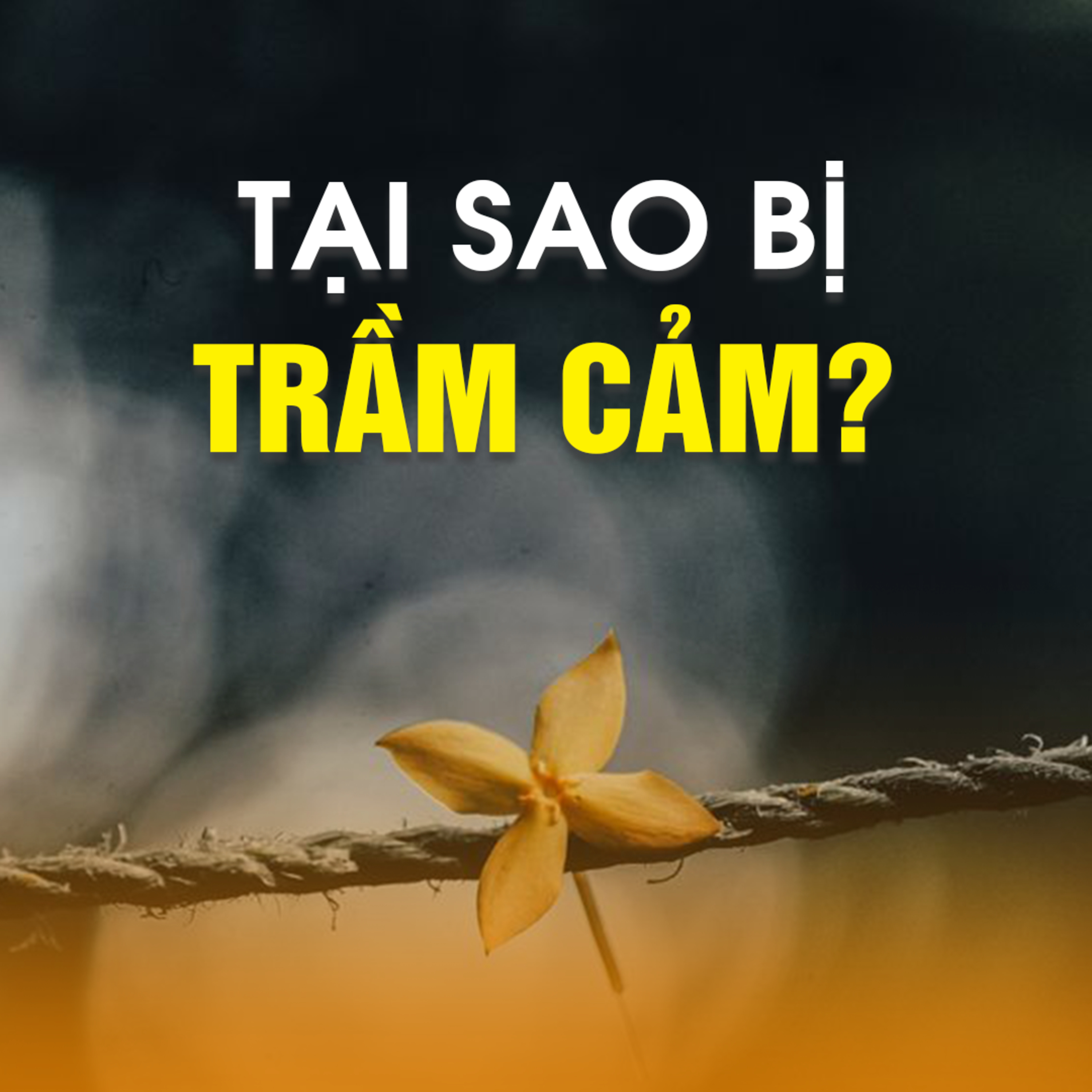 Tại Sao Bị Trầm Cảm? - Trích trong bài Giải đáp thắc mắc ngày 24/11/2019 - TT. TS. Thích Chân Quang episode artwork