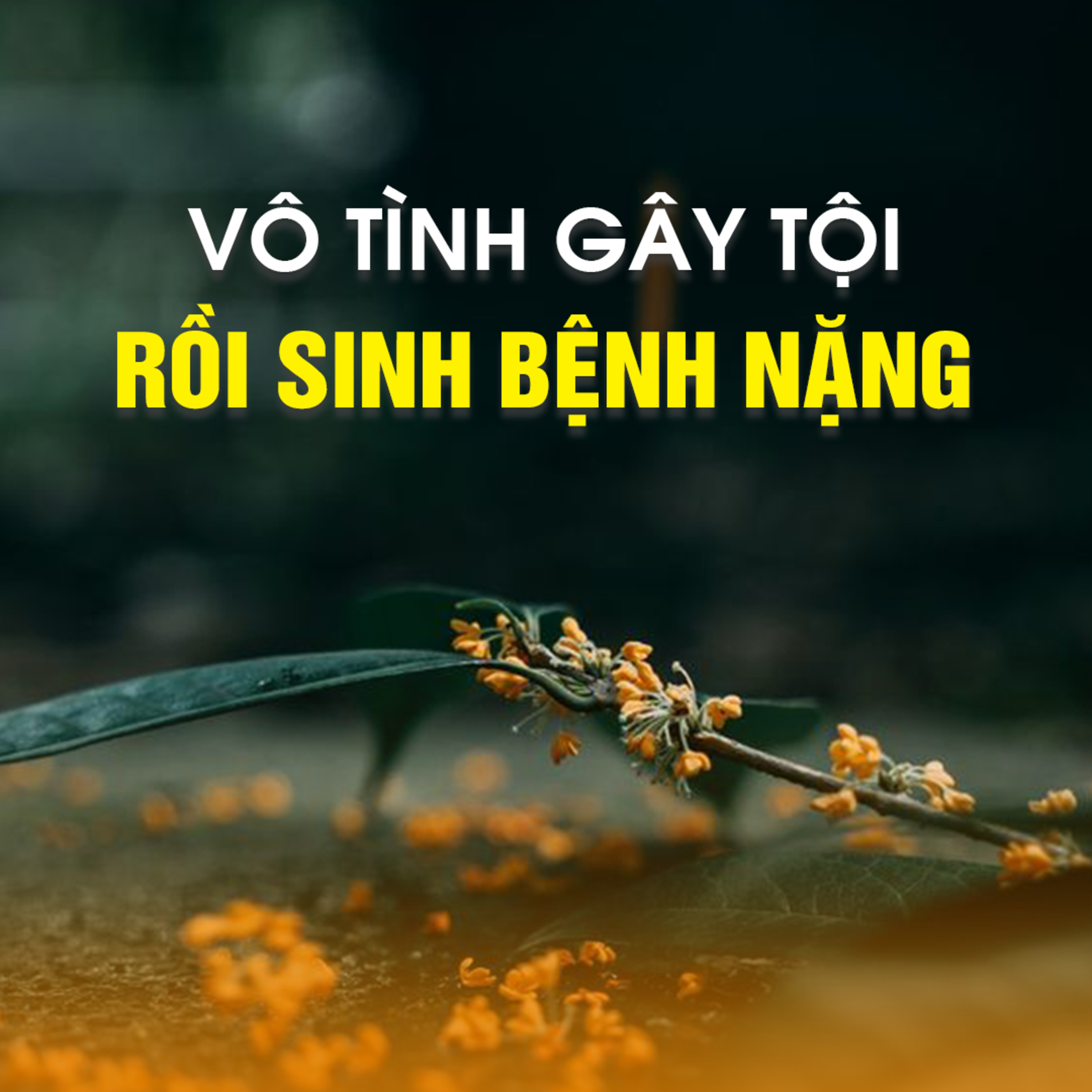 Vô Tình Gây Tội Rồi Sinh Bệnh Nặng -Trích Giải đáp thắc mắc ngày 04/08/2018 - TT.TS Thích Chân Quang episode artwork