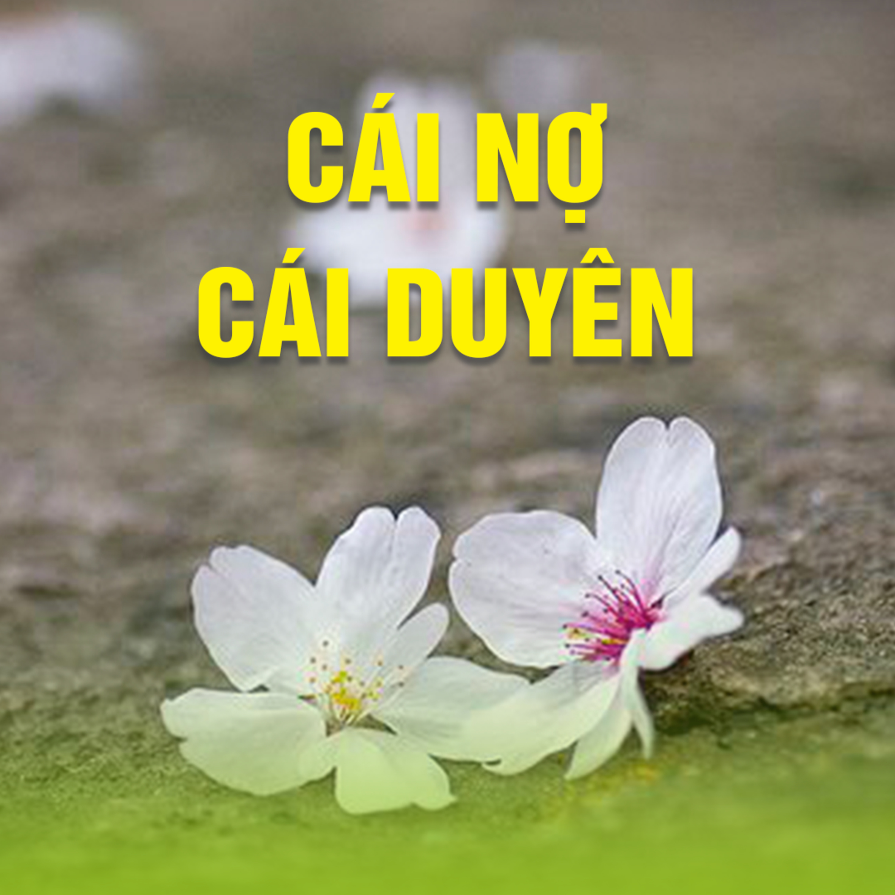 CÁI NỢ CÁI DUYÊN - Trích bài Tham Vấn Khóa Thiền Pháp Vân - TT.TS Thích Chân Quang episode artwork