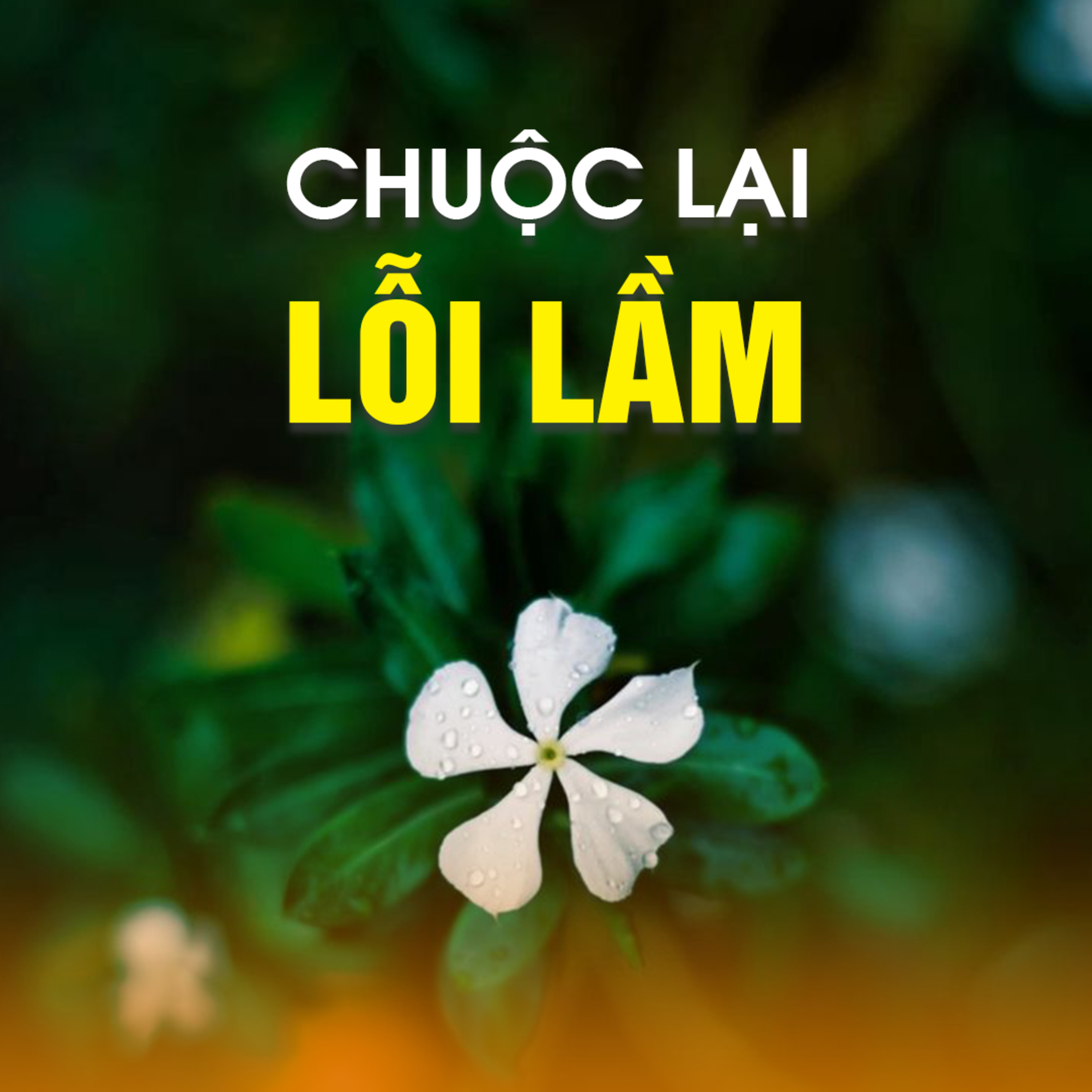 CHUỘC LẠI LỖI LẦM - Trích bài giảng Tâm Lý Hối Hận - TT. TS. Thích Chân Quang episode artwork